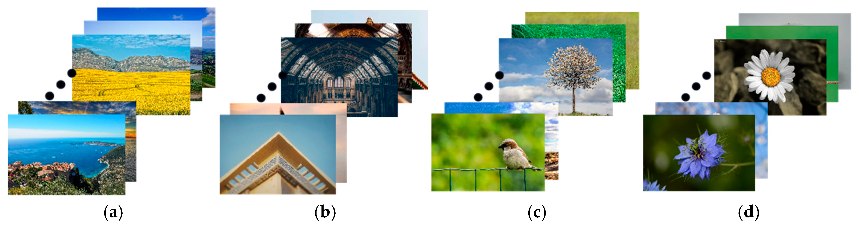 Sensors 25 05919 g004