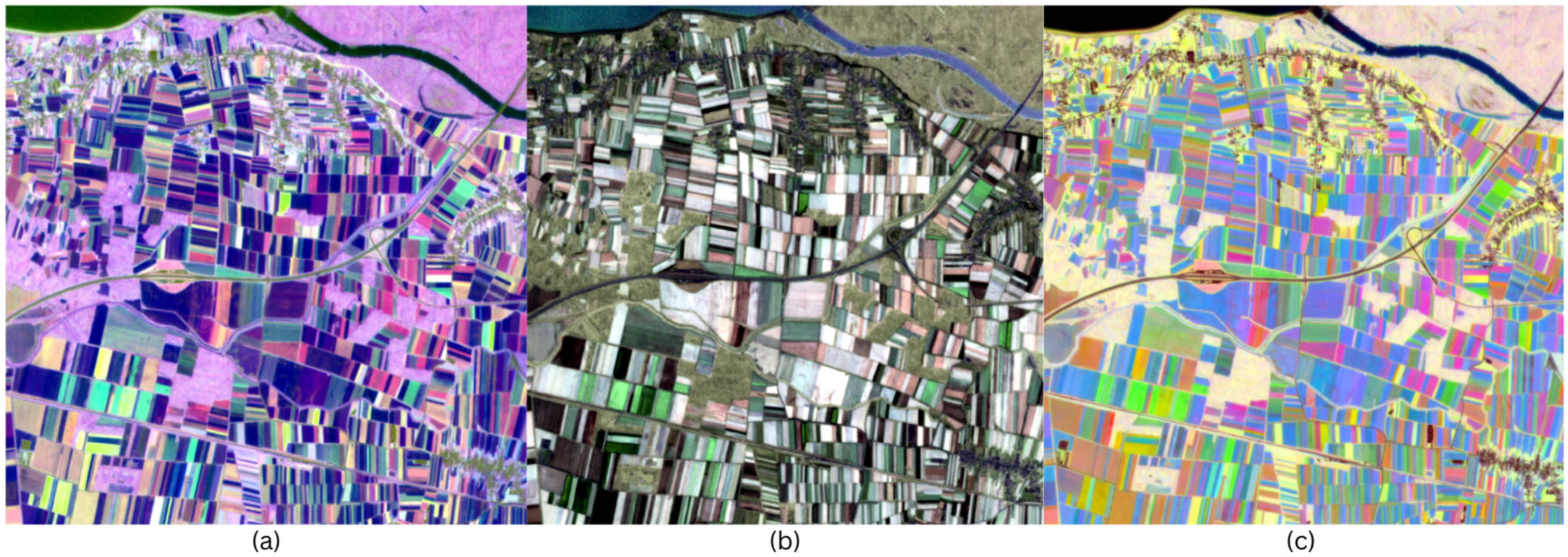 Sensors 25 05926 g005