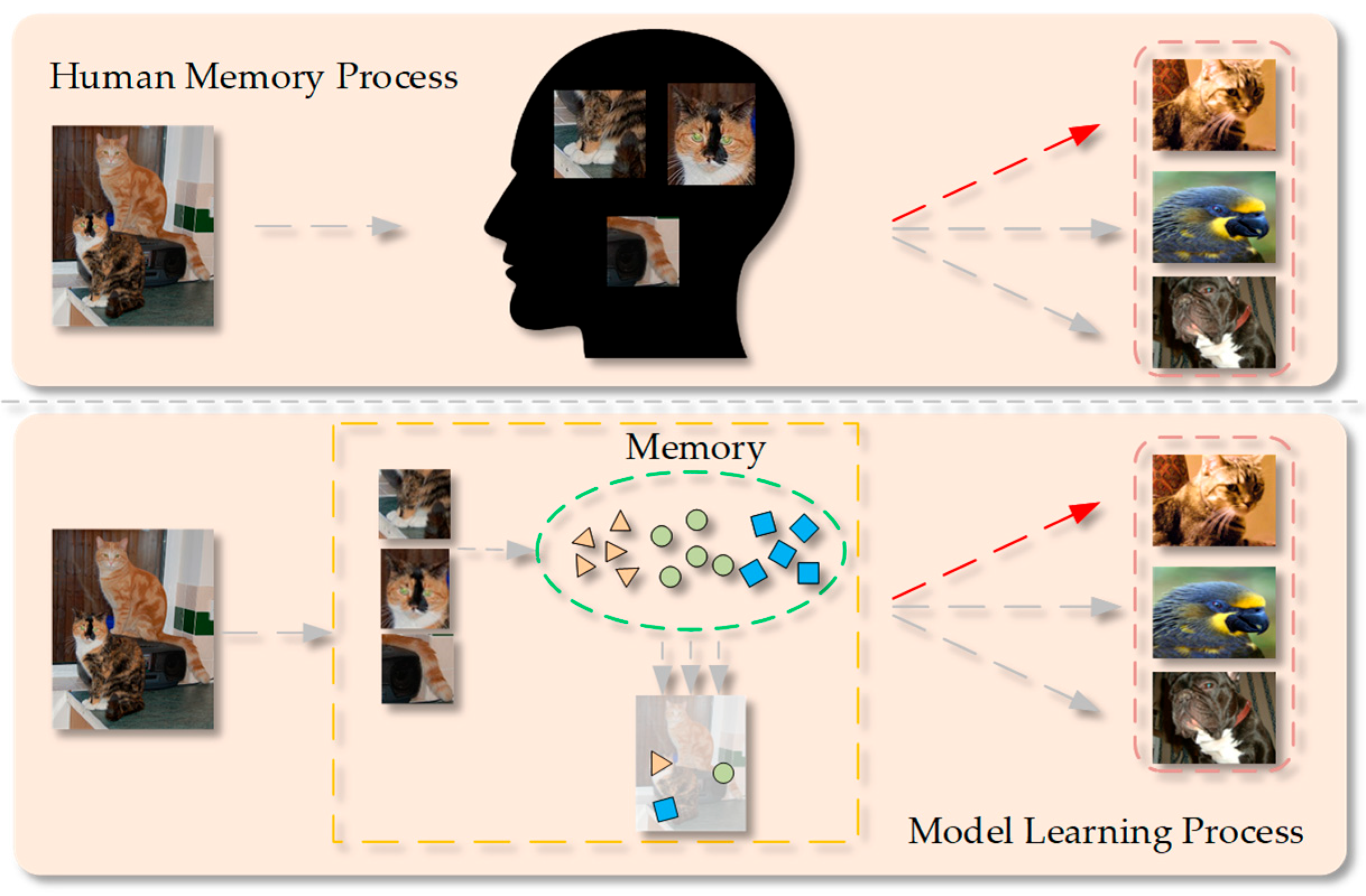 Sensors 25 05945 g001