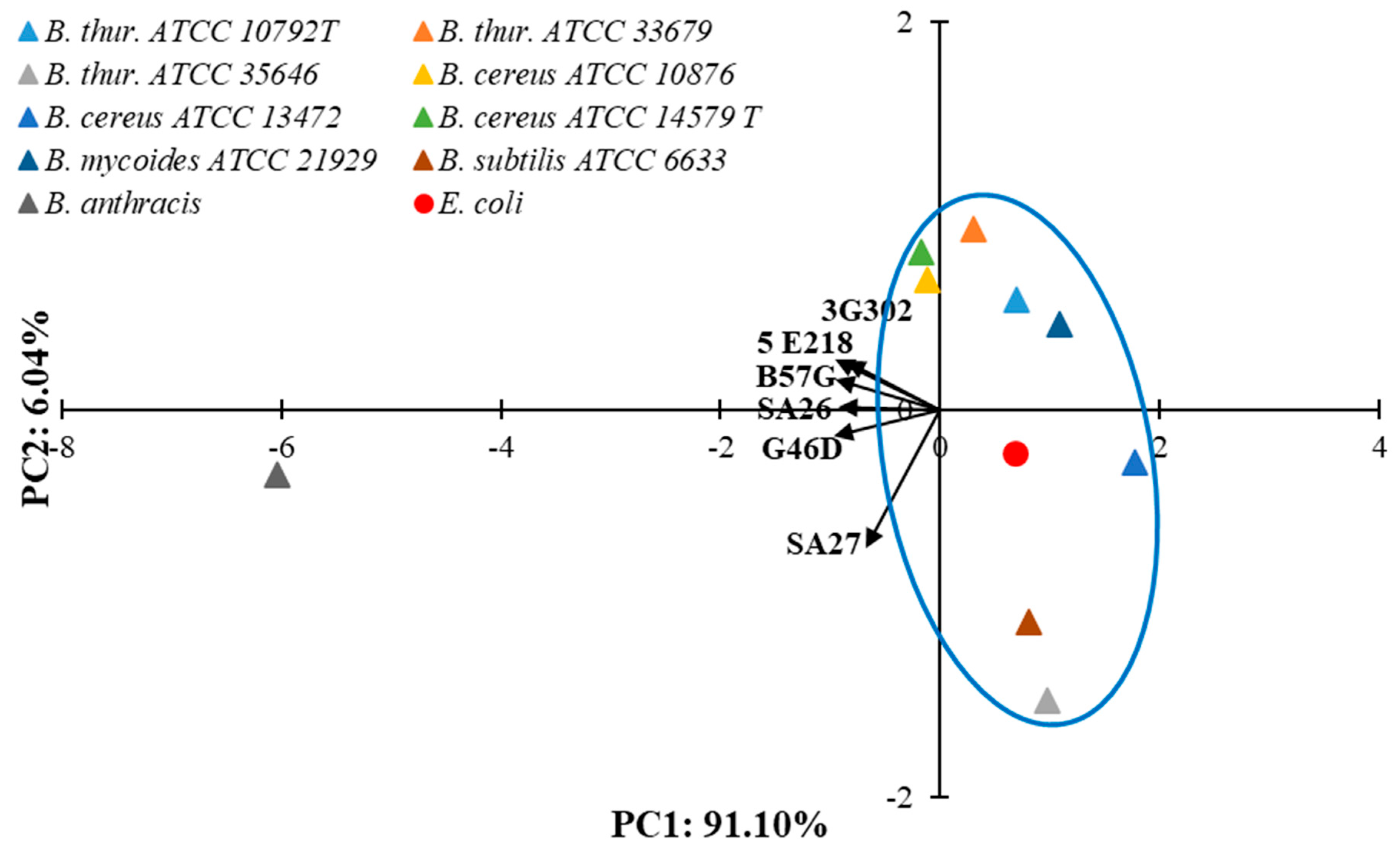 Sensors 25 05948 g002