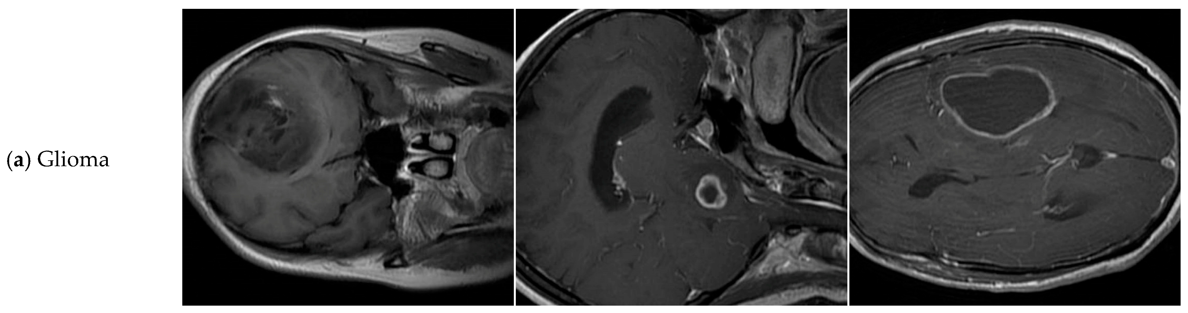 Sensors 25 05993 g007a Sensors 25 05993 g007a