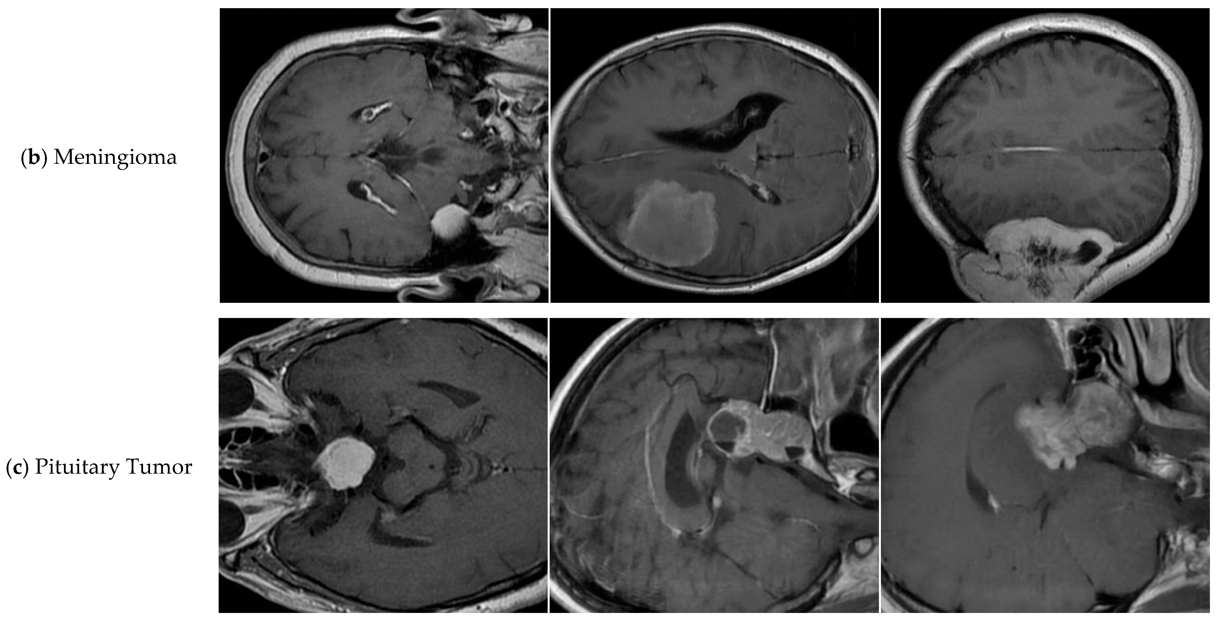 Sensors 25 05993 g007b Sensors 25 05993 g007b