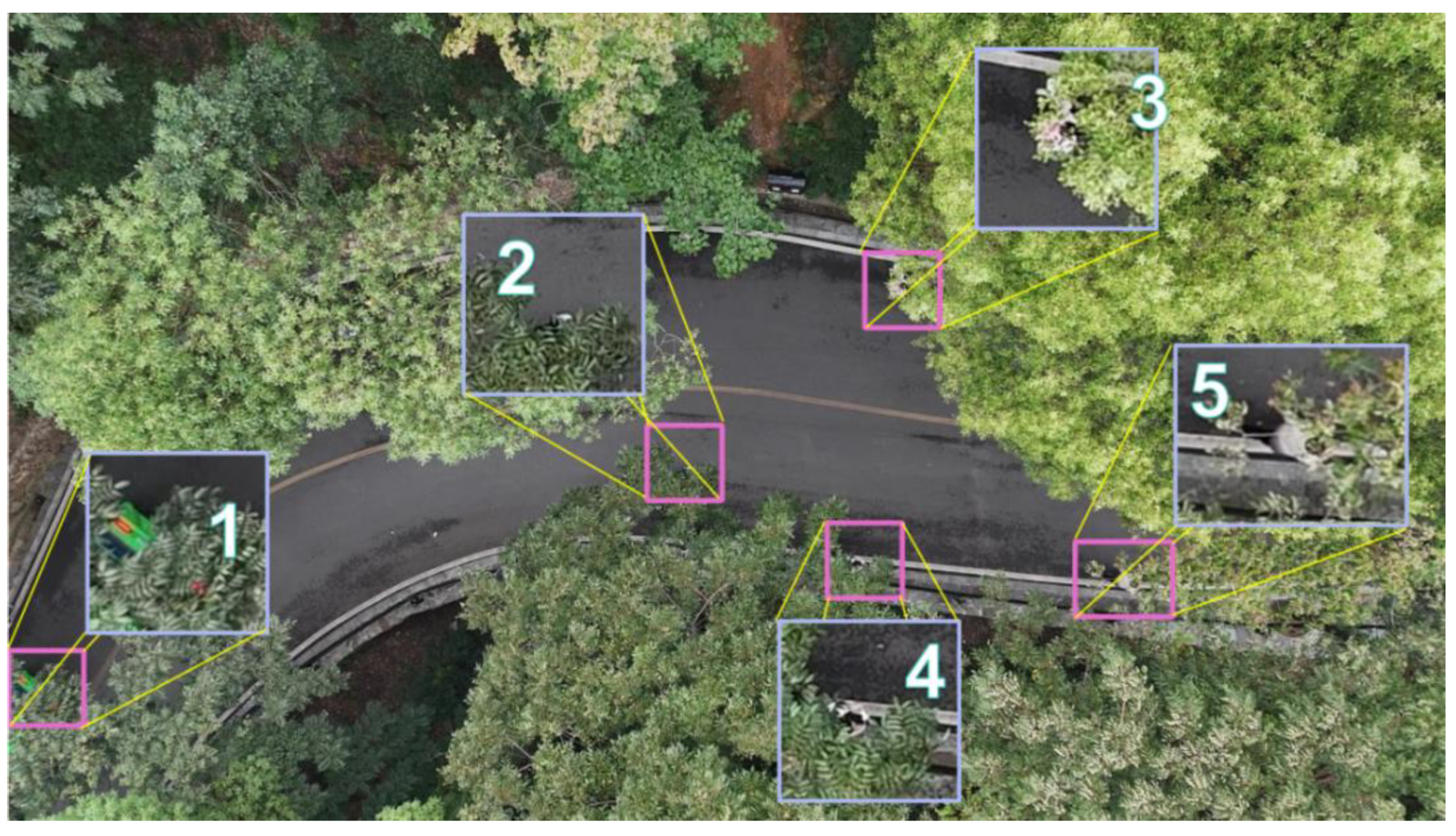 Sensors 25 06023 g007 Sensors 25 06023 g007
