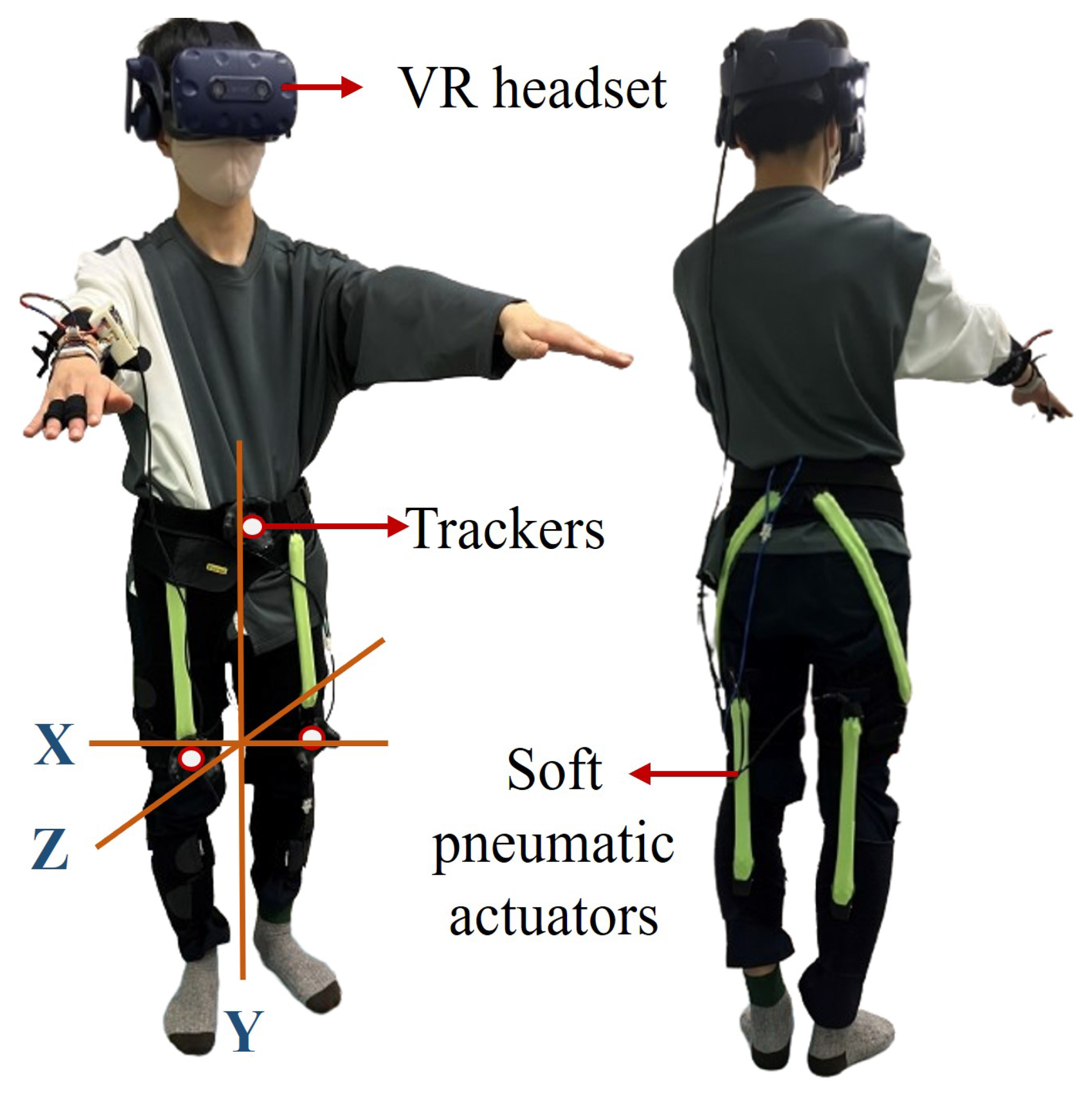 Sensors 25 06074 g001 Sensors 25 06074 g001
