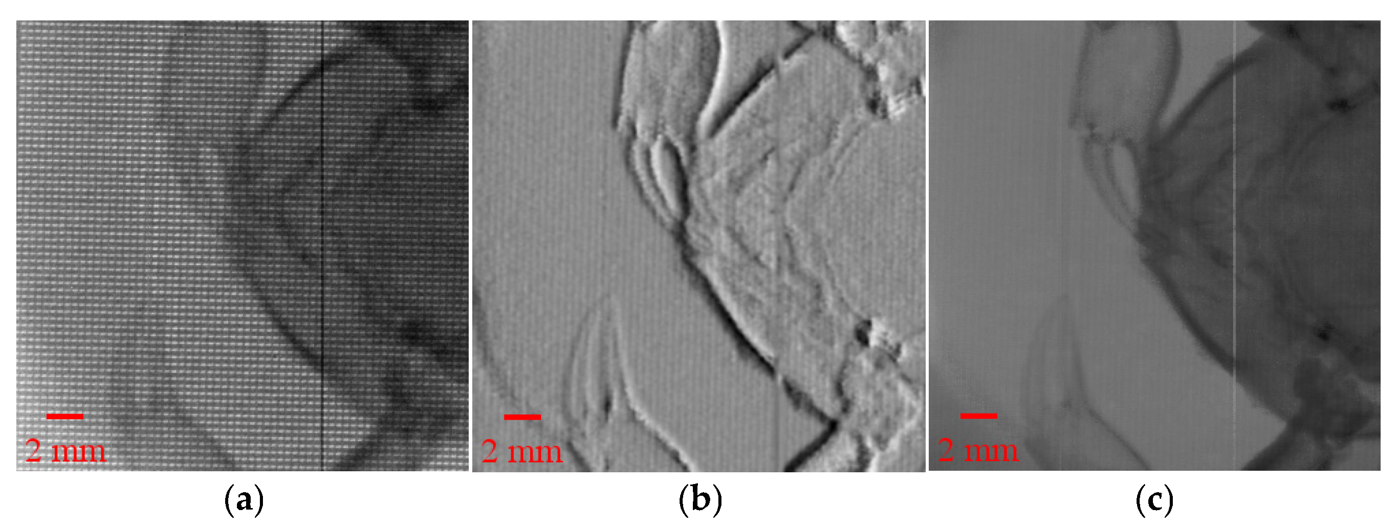 Sensors 25 06089 g004