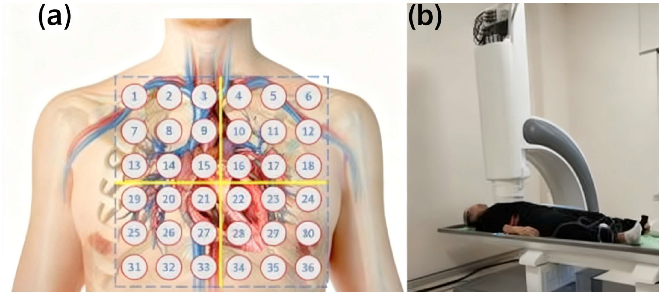 Sensors 25 06096 g002