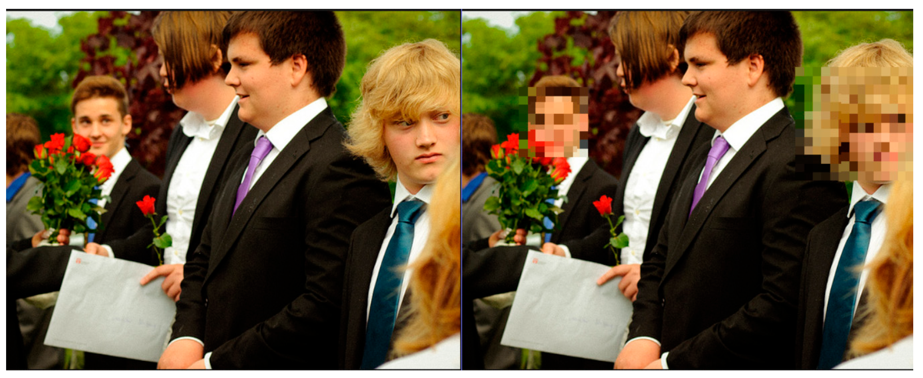 Sensors 25 06105 g005