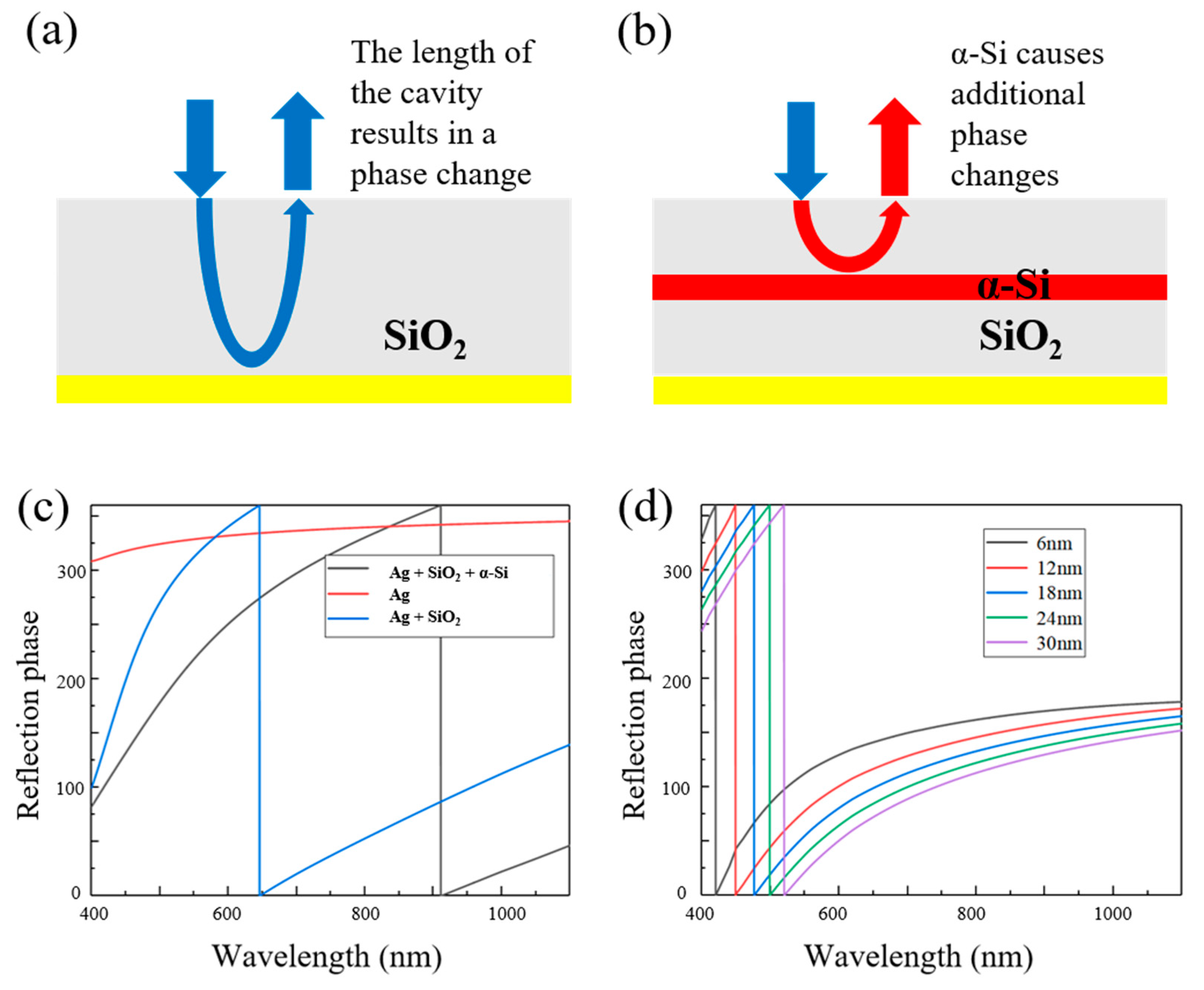 Sensors 25 06123 g004