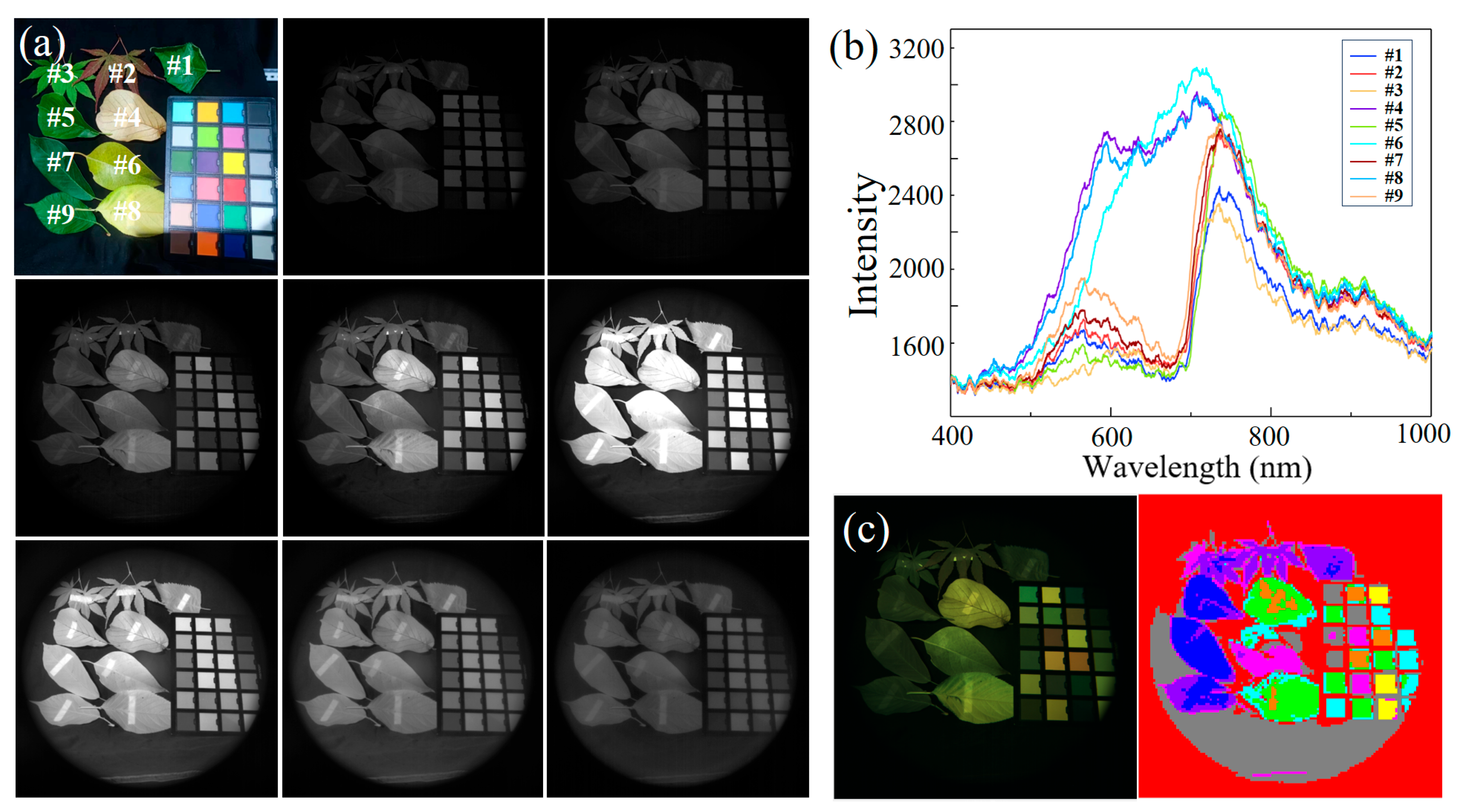 Sensors 25 06123 g009