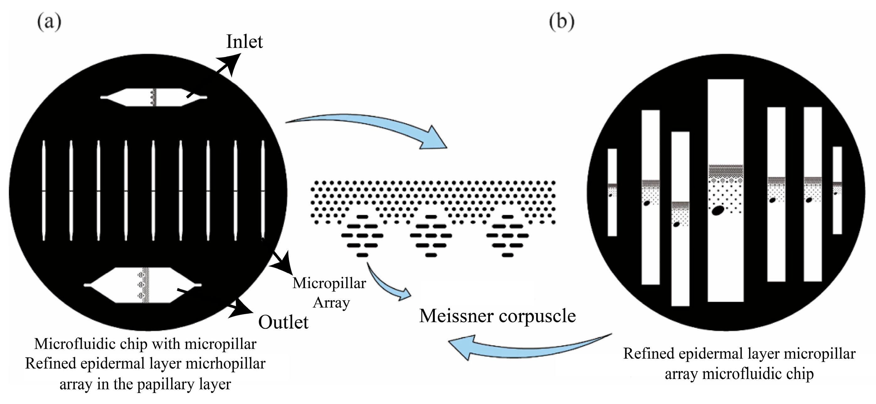 Sensors 25 06151 g001