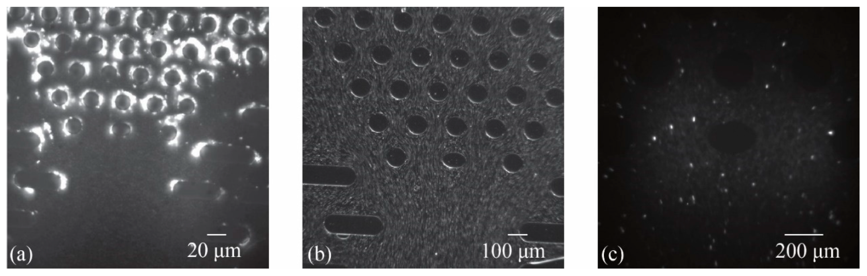 Sensors 25 06151 g003