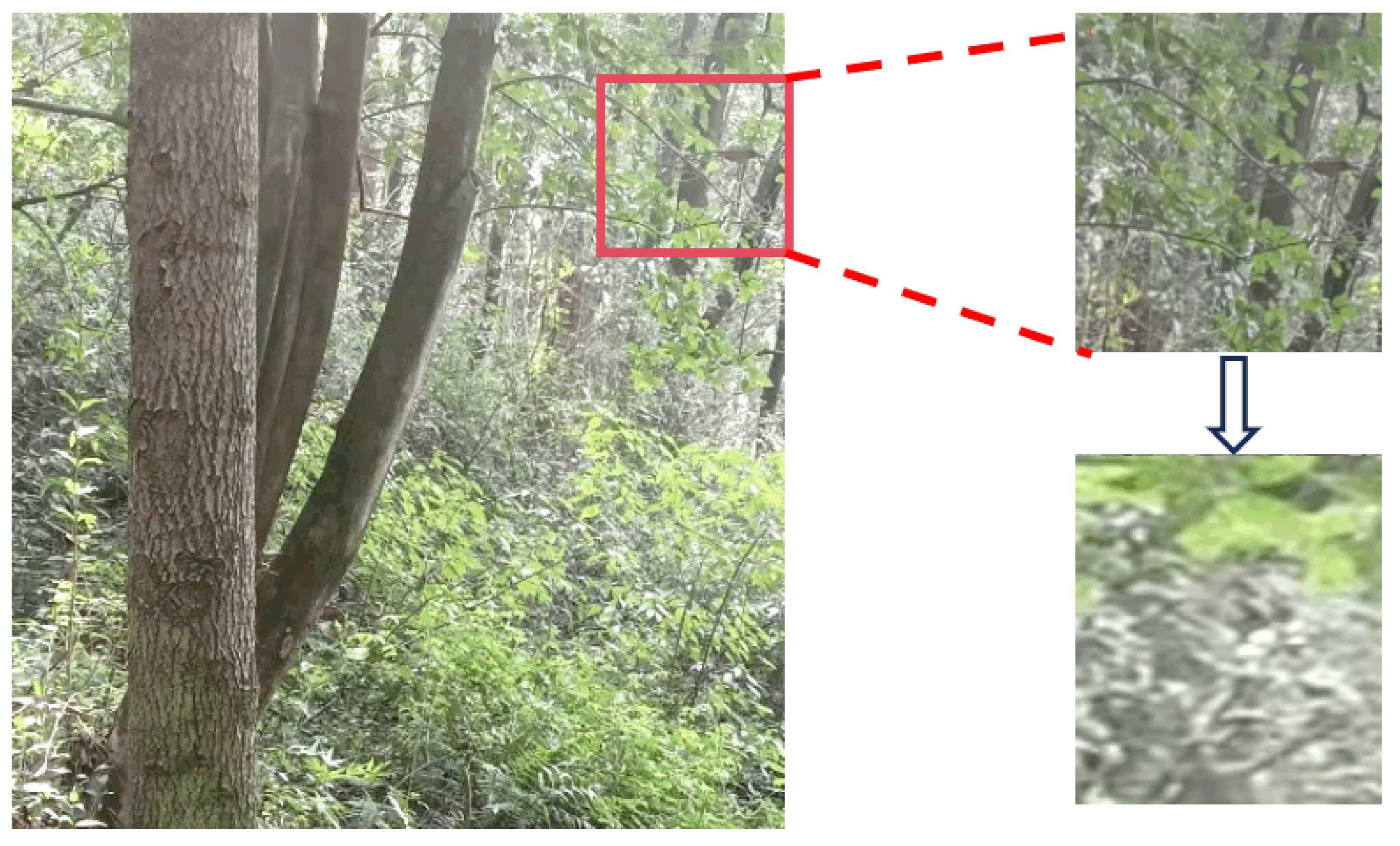 Sensors 25 06170 g002 Sensors 25 06170 g002