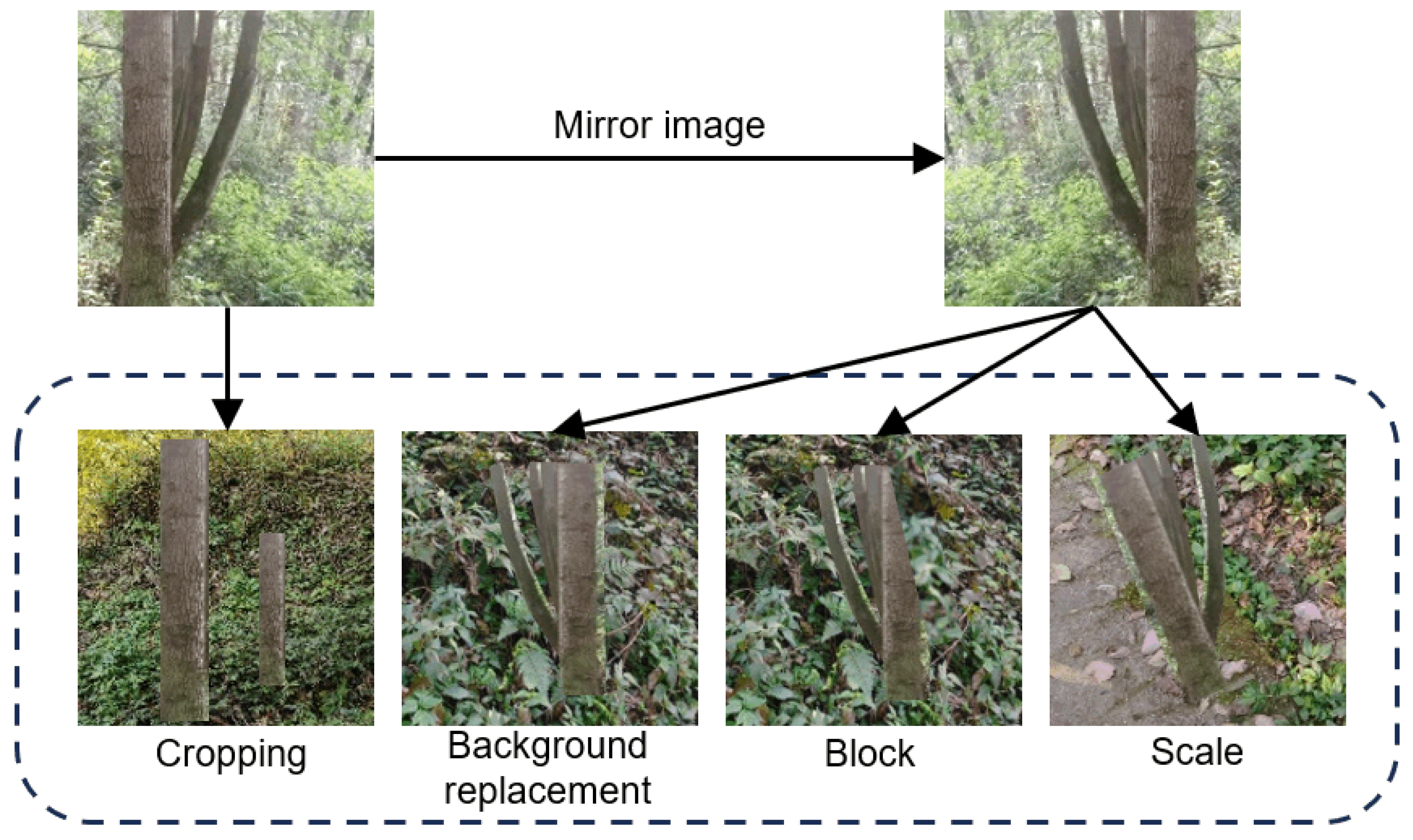 Sensors 25 06170 g003 Sensors 25 06170 g003