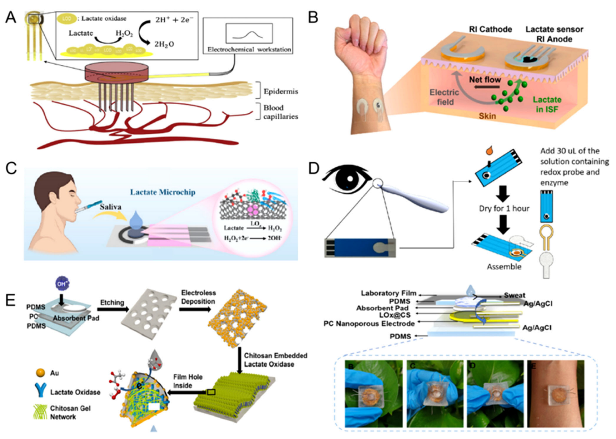 Sensors 25 06194 g001 Sensors 25 06194 g001