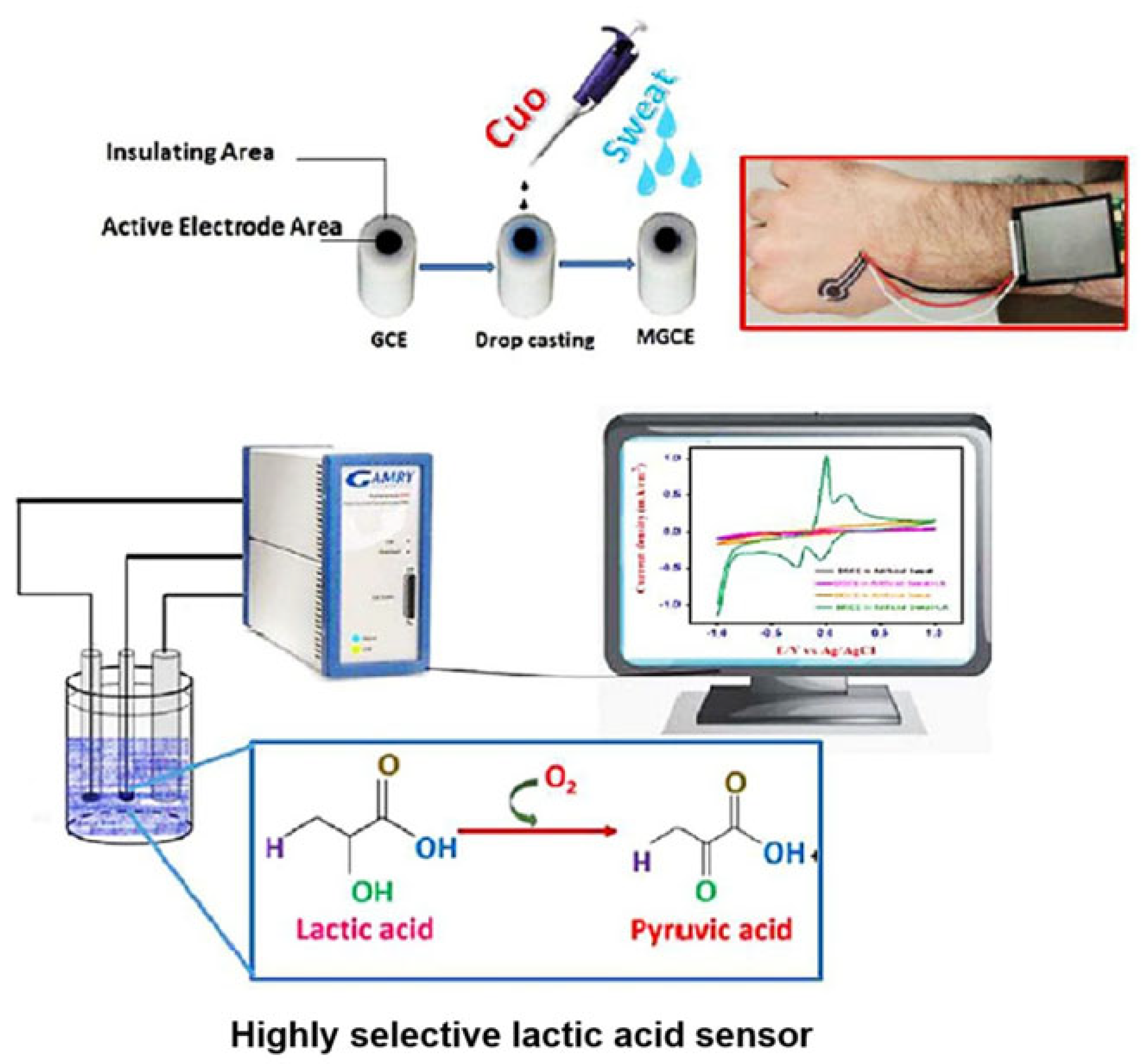 Sensors 25 06194 g004 Sensors 25 06194 g004