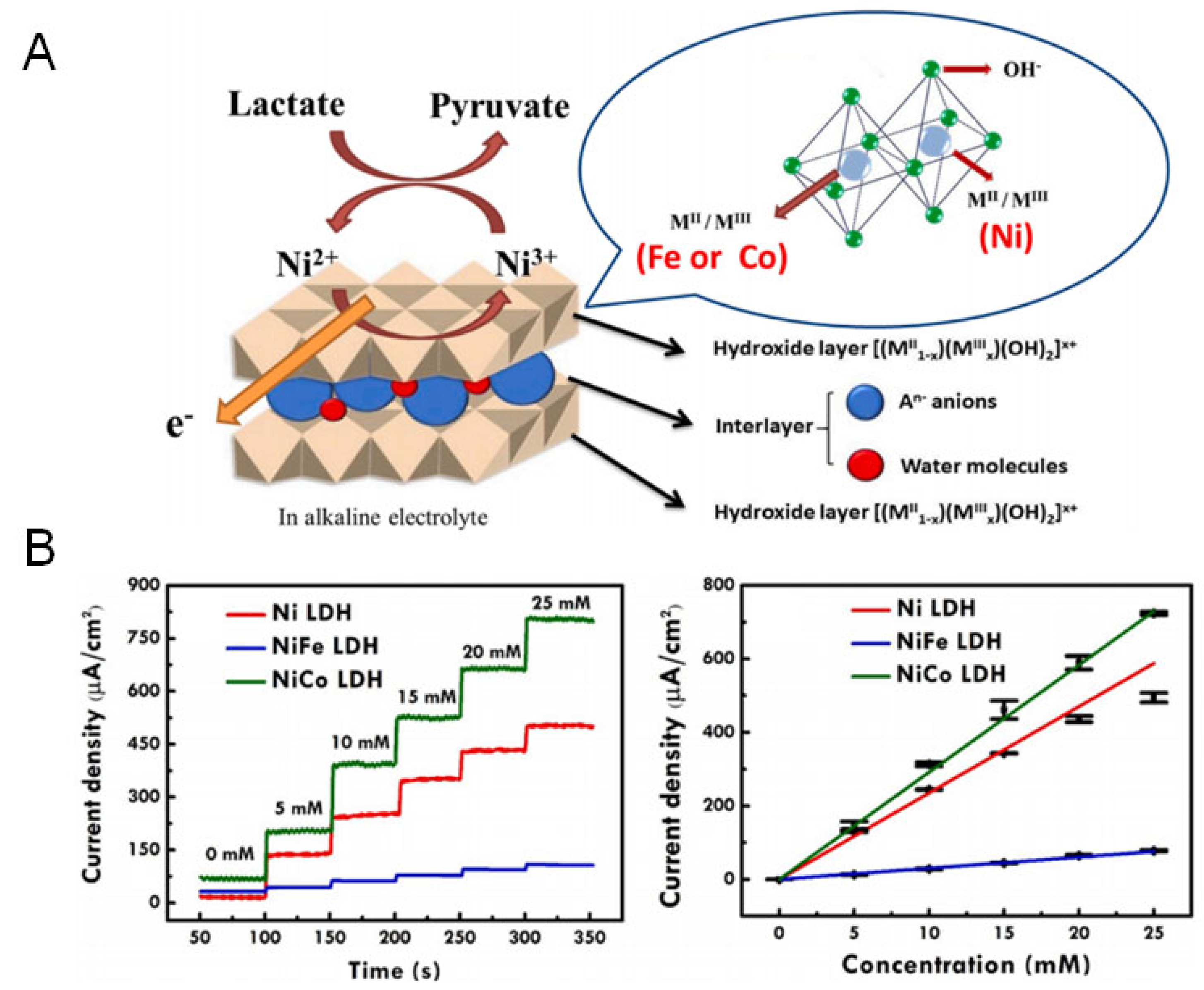 Sensors 25 06194 g005 Sensors 25 06194 g005