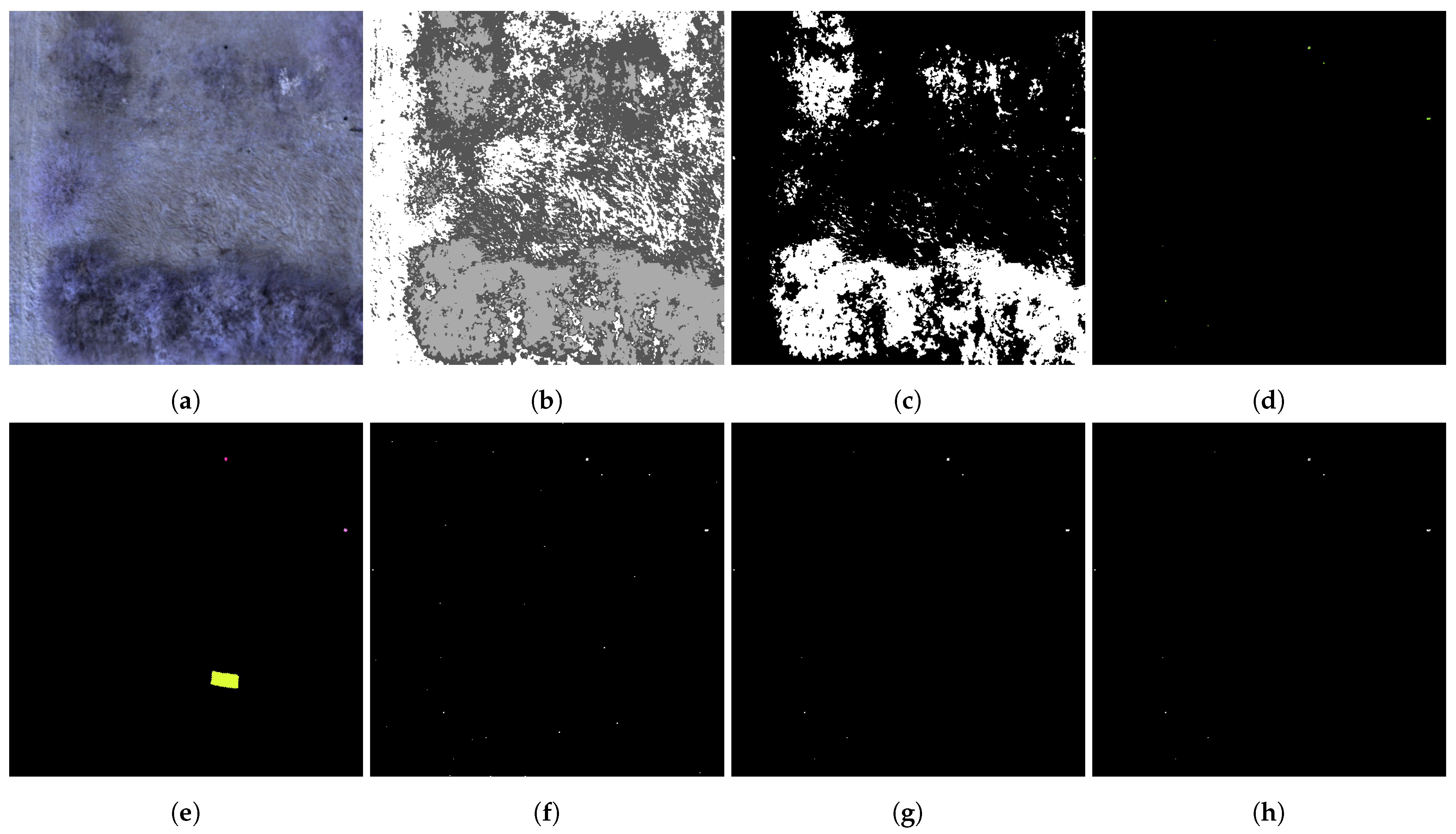 Sensors 25 06199 g005