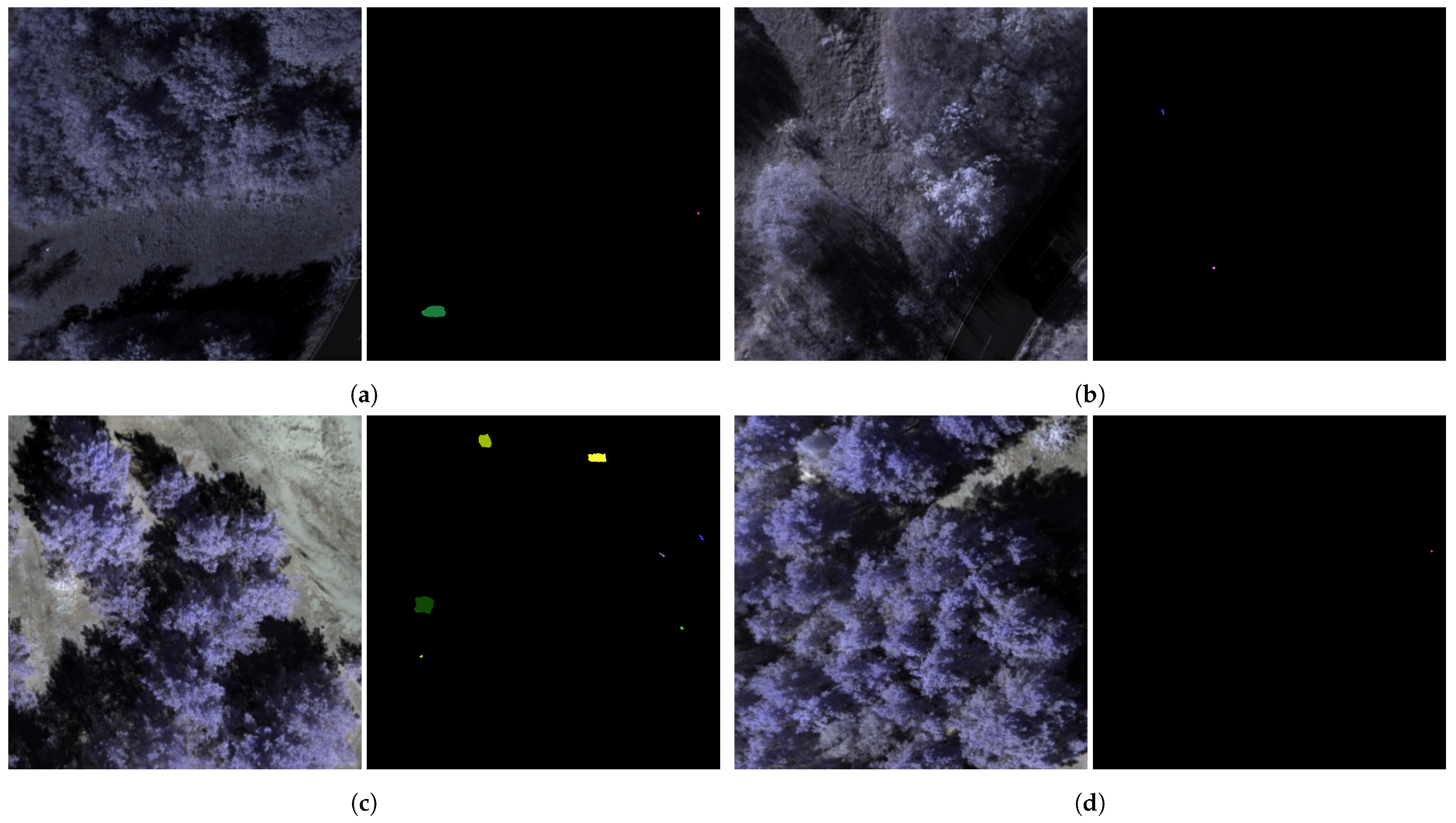 Sensors 25 06199 g006