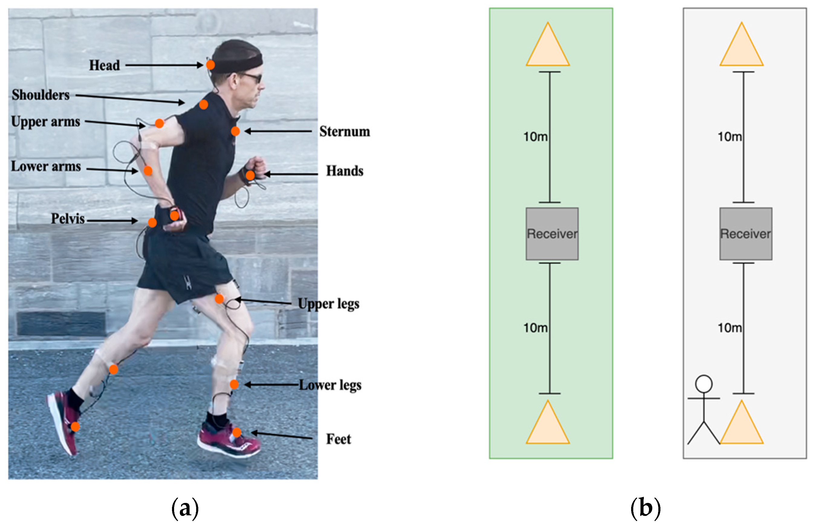 Sensors 25 06203 g001