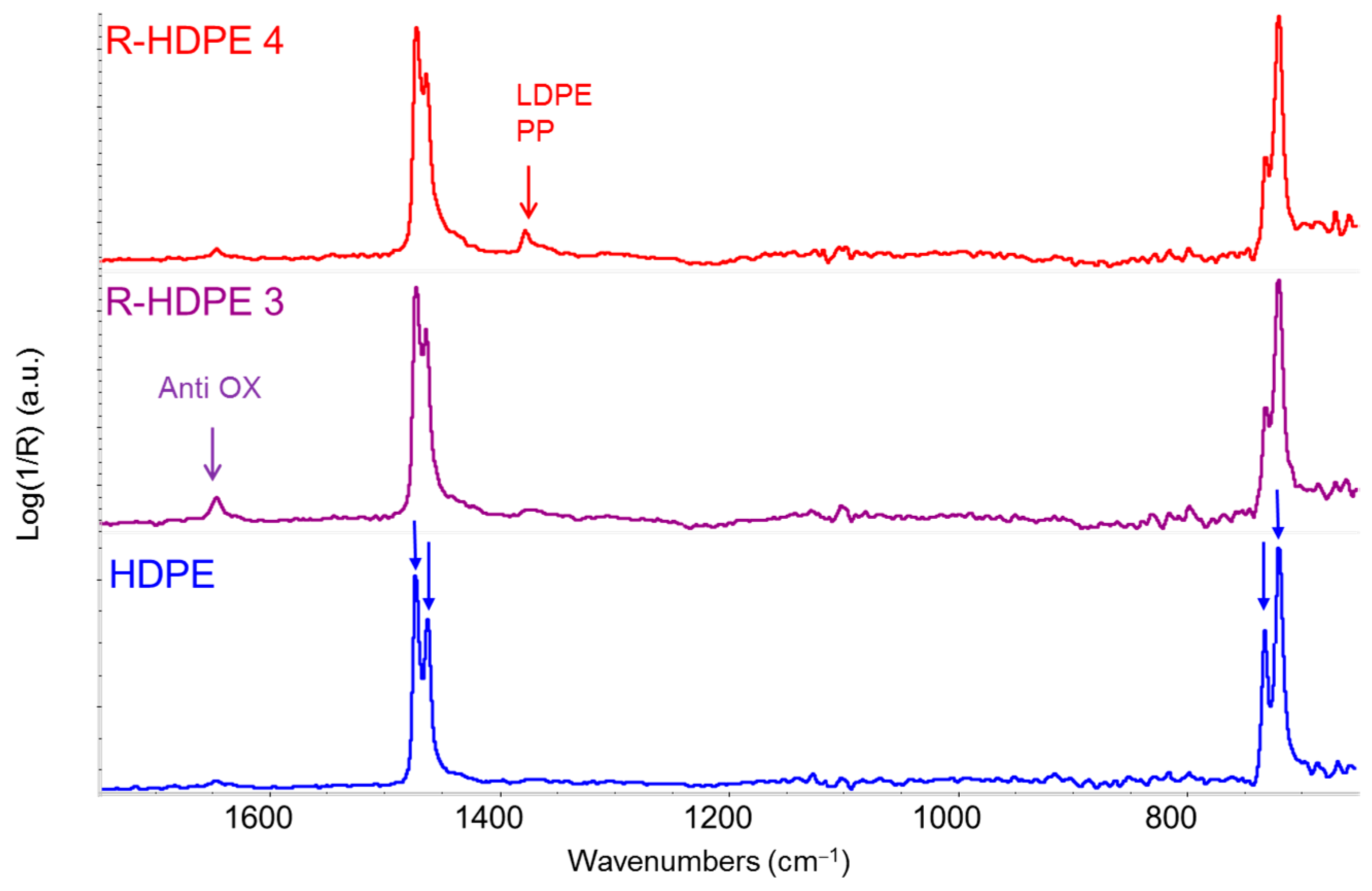 Sensors 25 06205 g003 Sensors 25 06205 g003