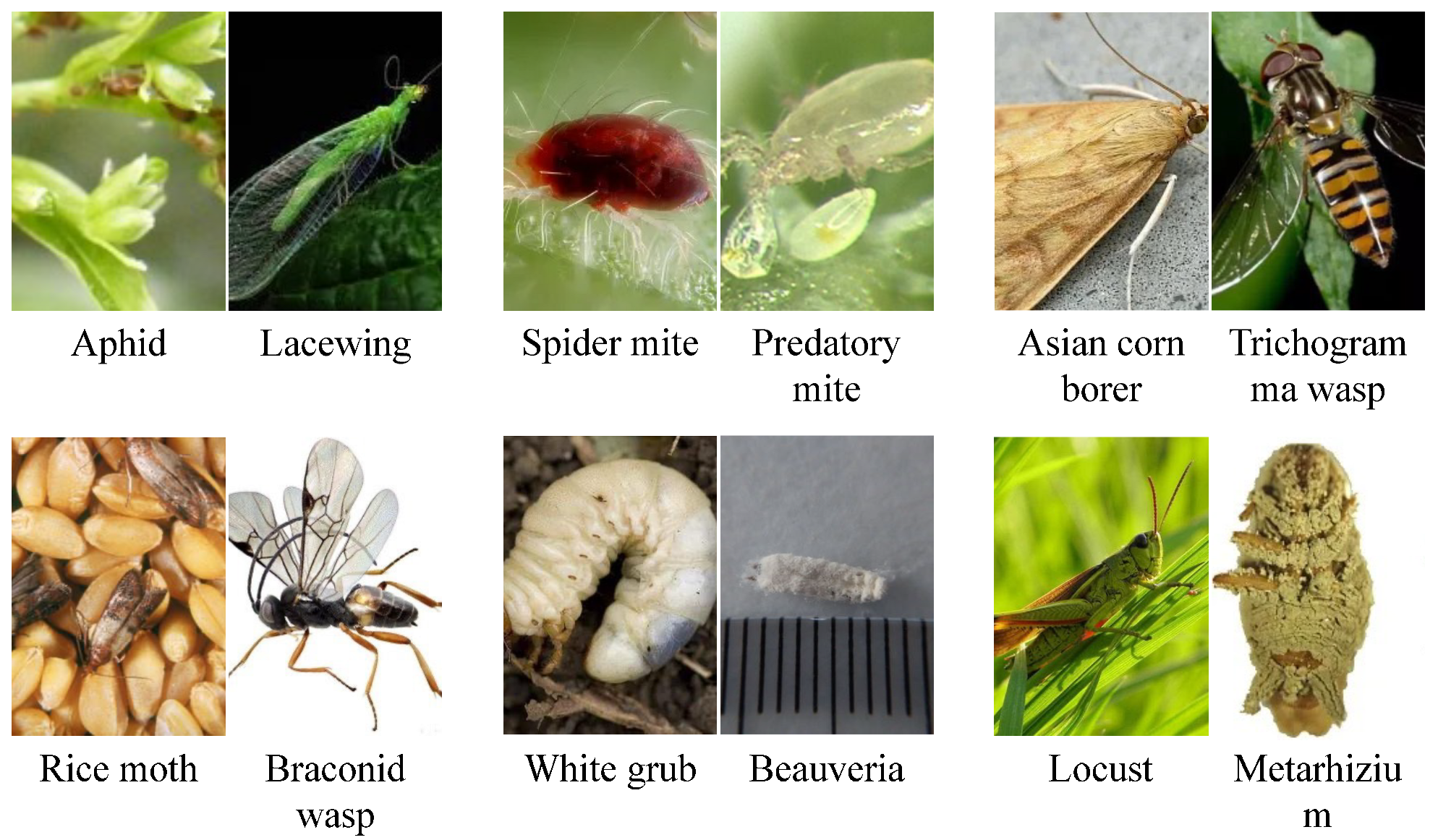 Sensors 25 06206 g001