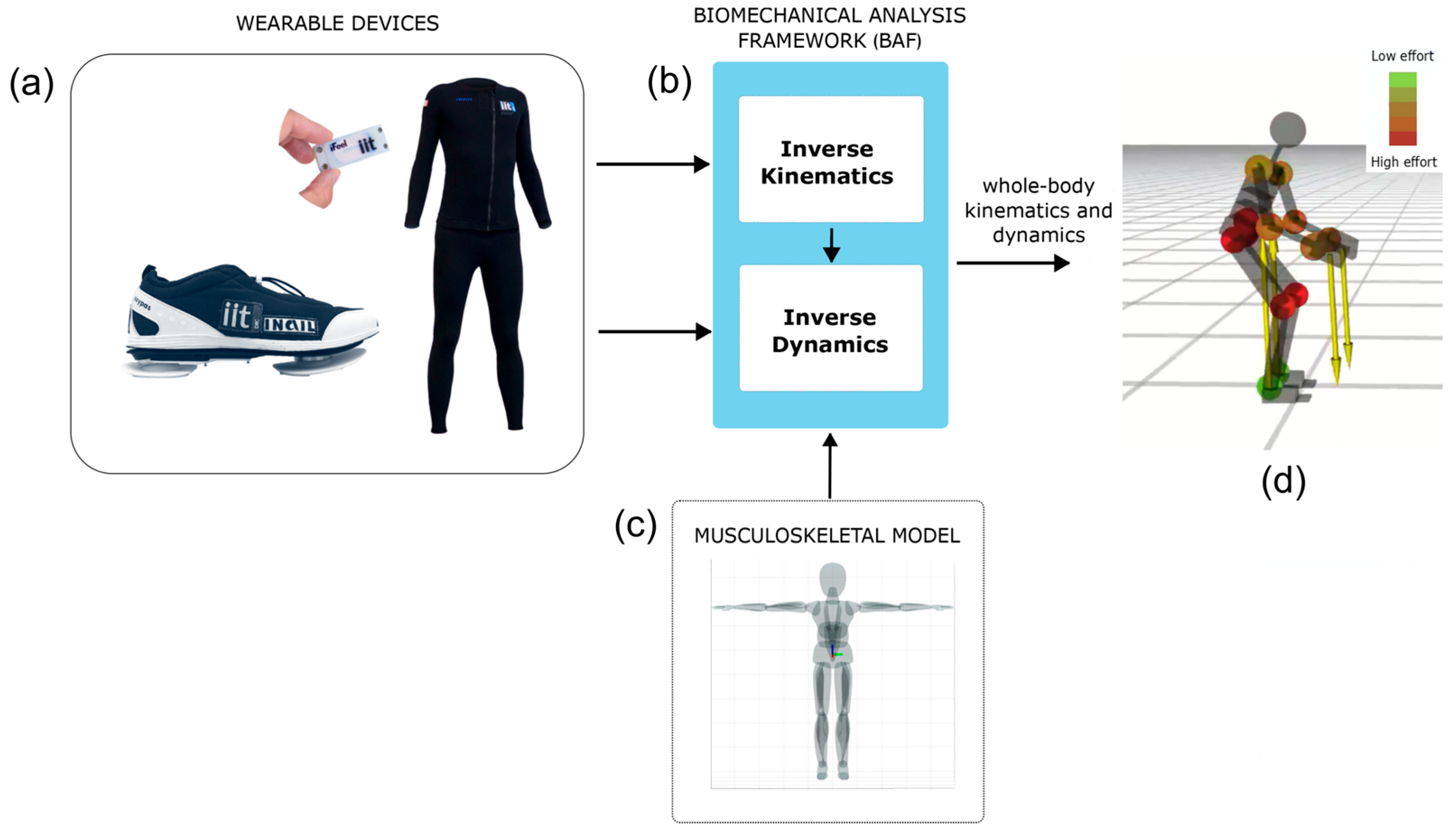 Sensors 25 06214 g002