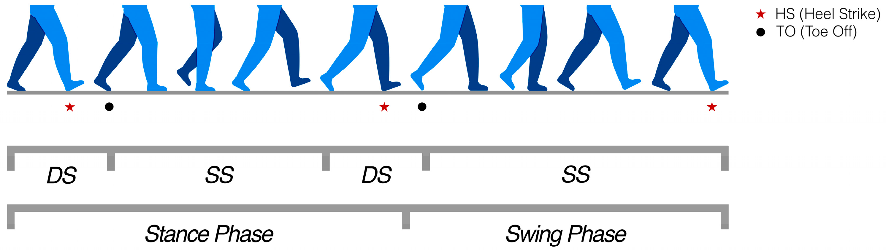 Sensors 25 06214 g004