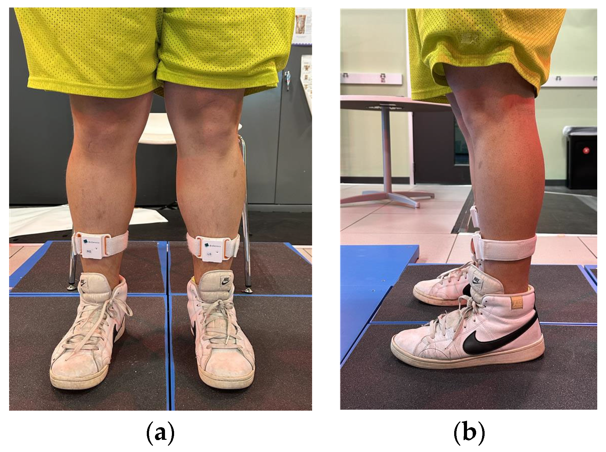 Sensors 25 06222 g001 Sensors 25 06222 g001