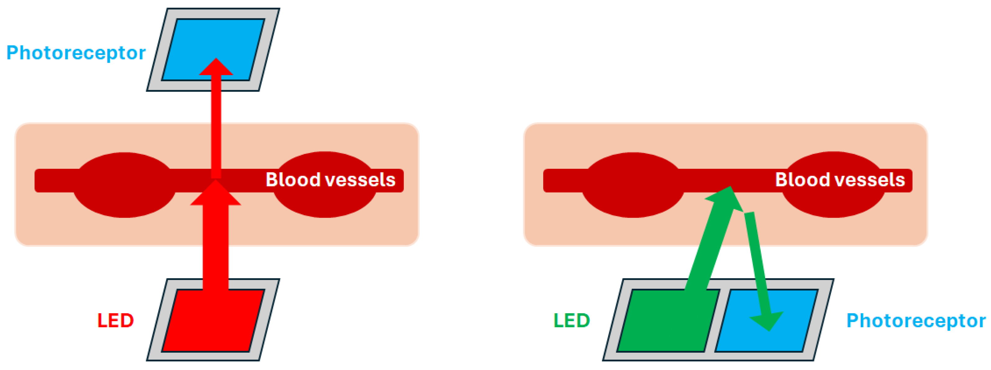 Sensors 25 06232 g001 Sensors 25 06232 g001
