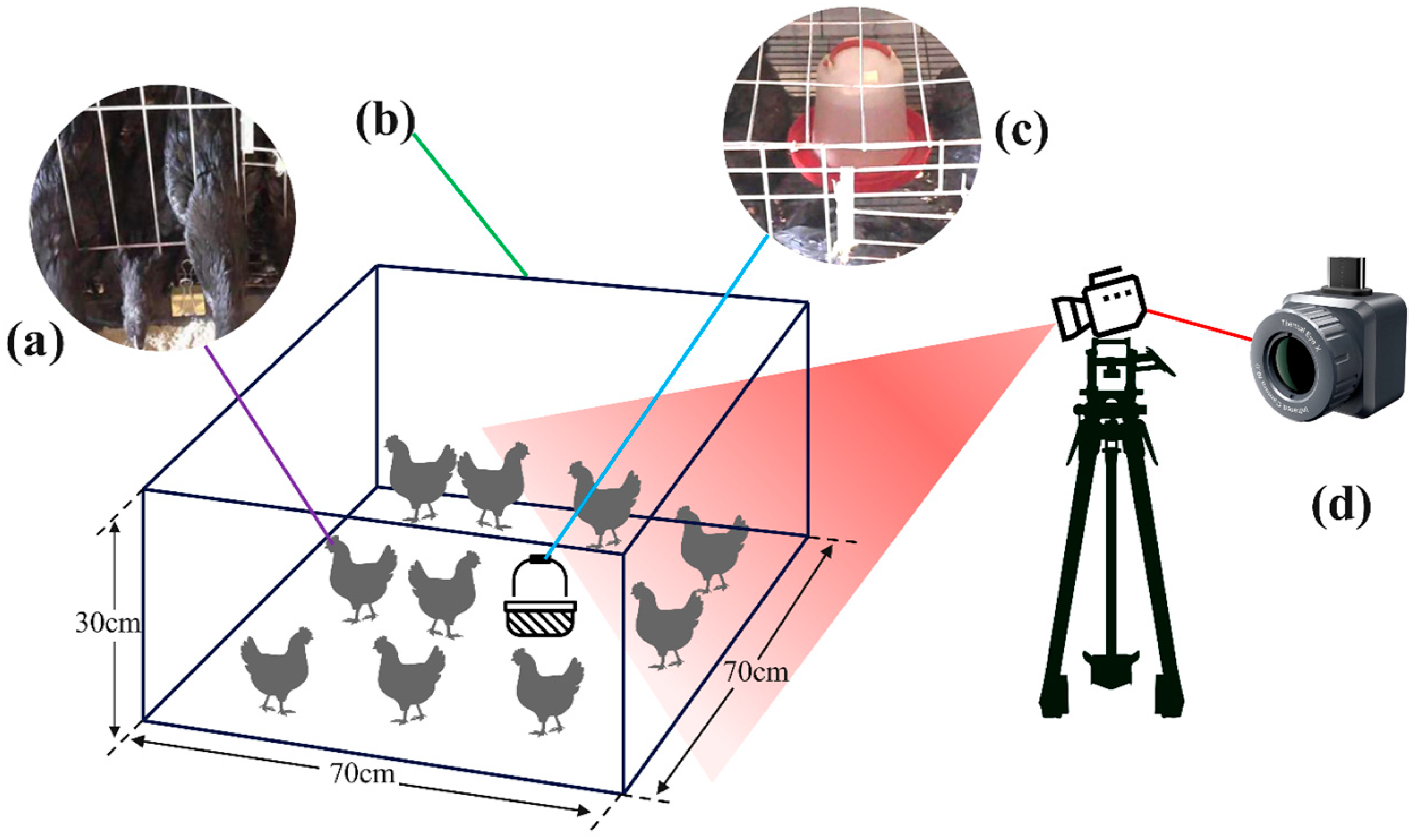 Sensors 25 06237 g001