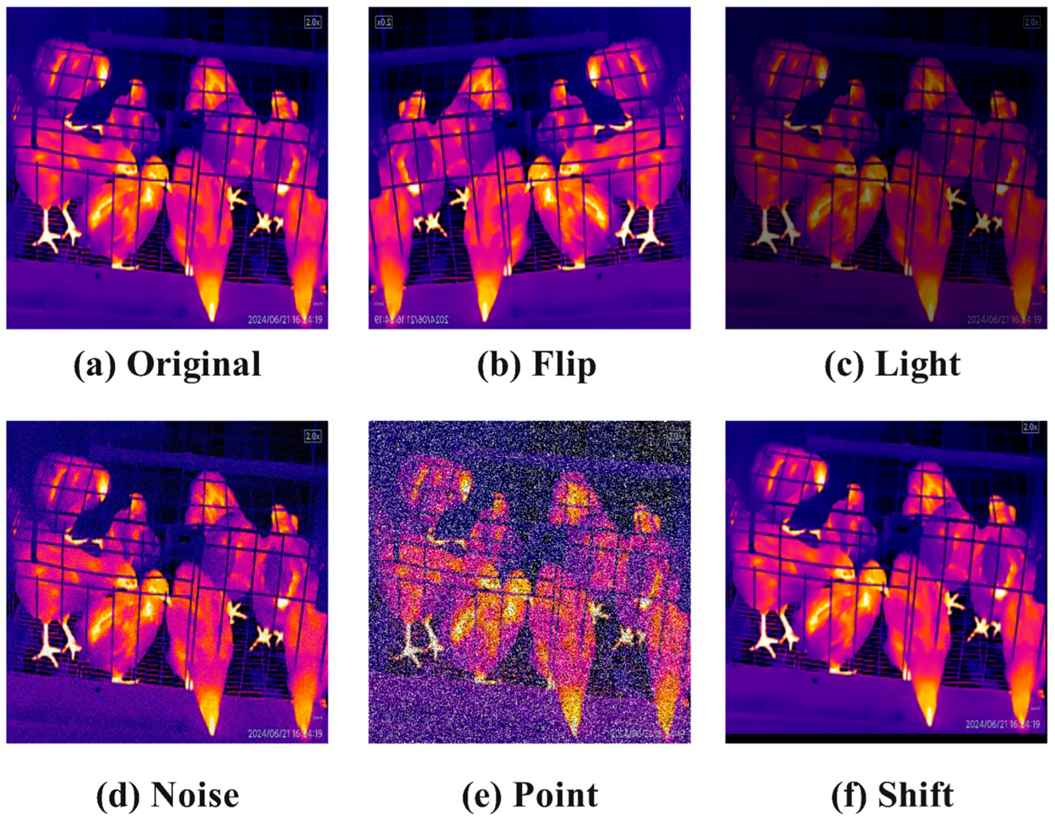 Sensors 25 06237 g004