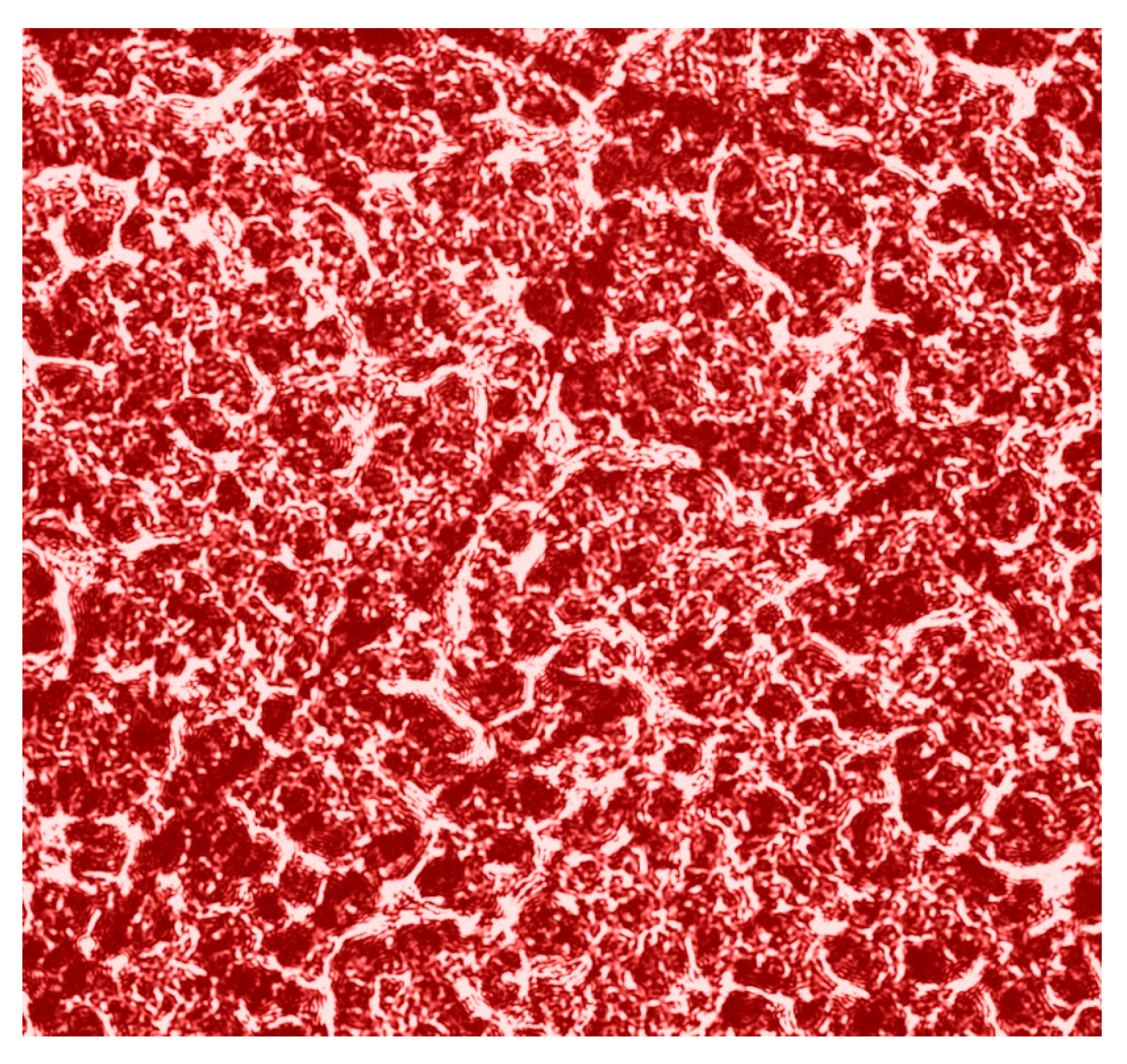 Sensors 25 06262 g001 Sensors 25 06262 g001