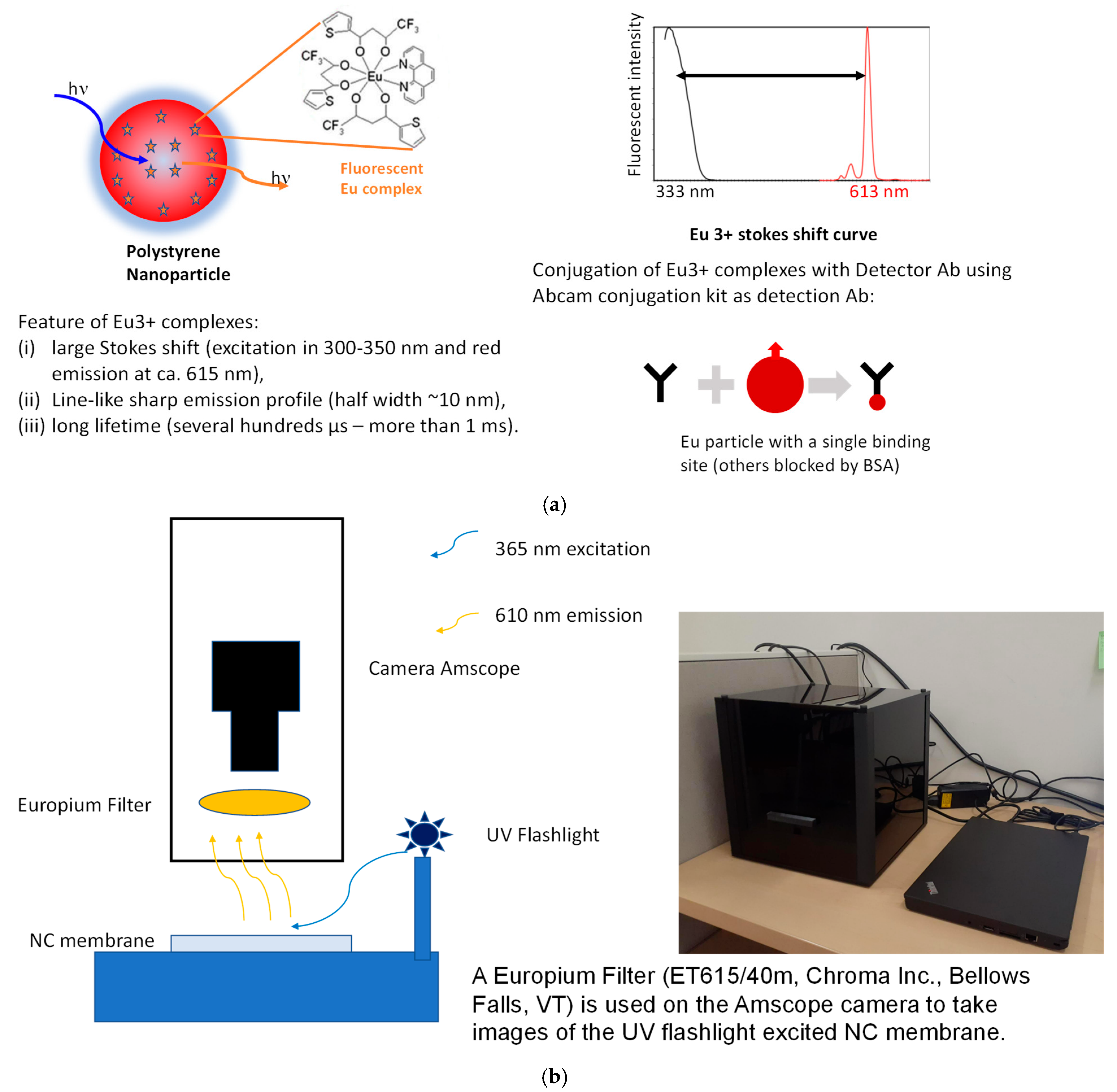 Sensors 25 06271 g004