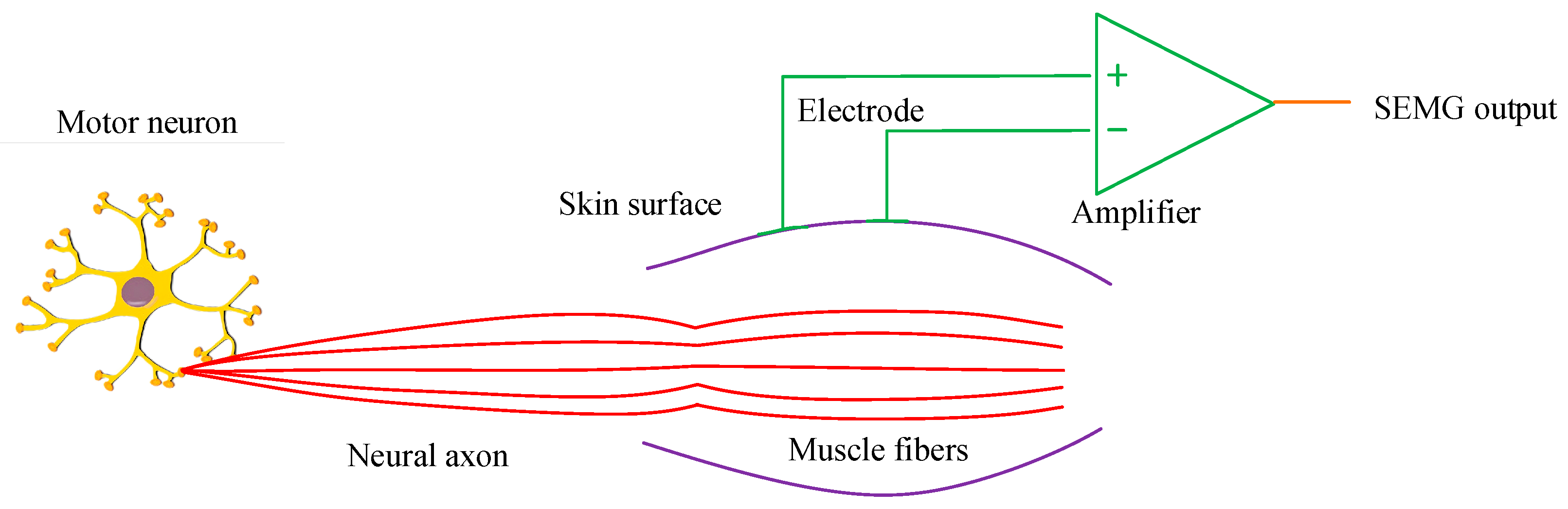 Sensors 25 06273 g002 Sensors 25 06273 g002