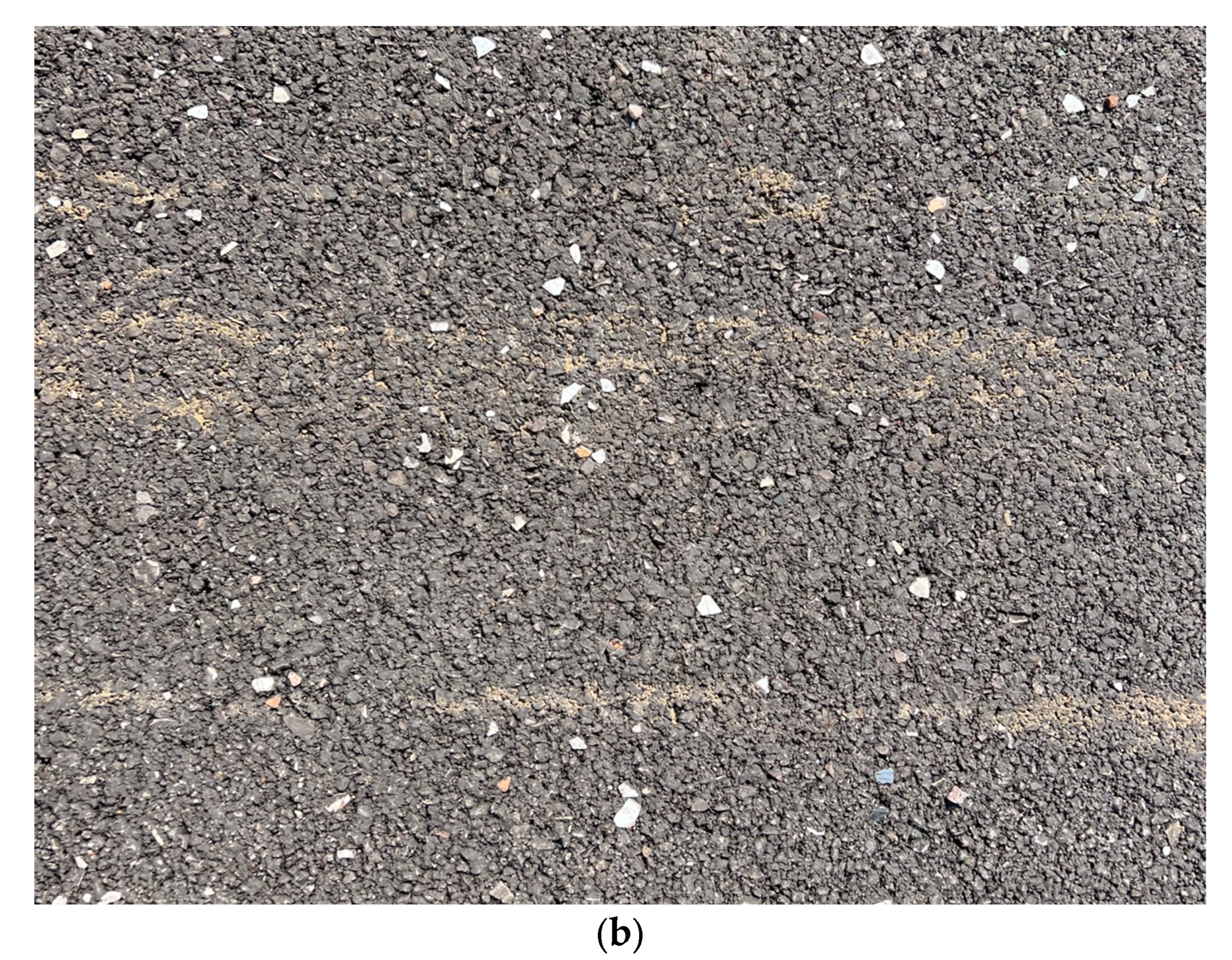 Sensors 25 06275 g006b