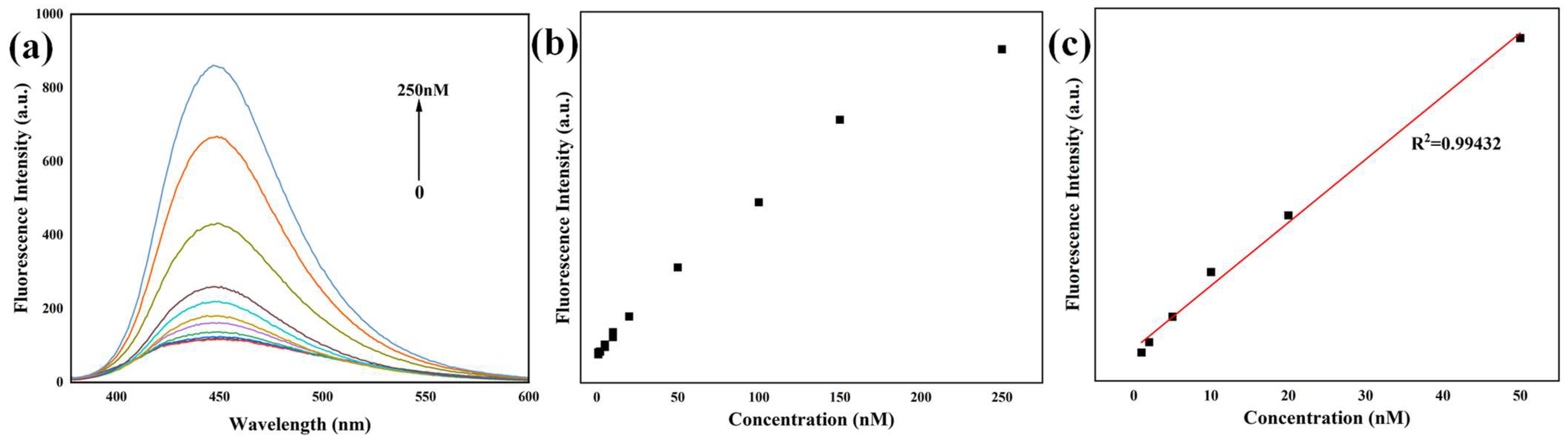 Sensors 25 06284 g004