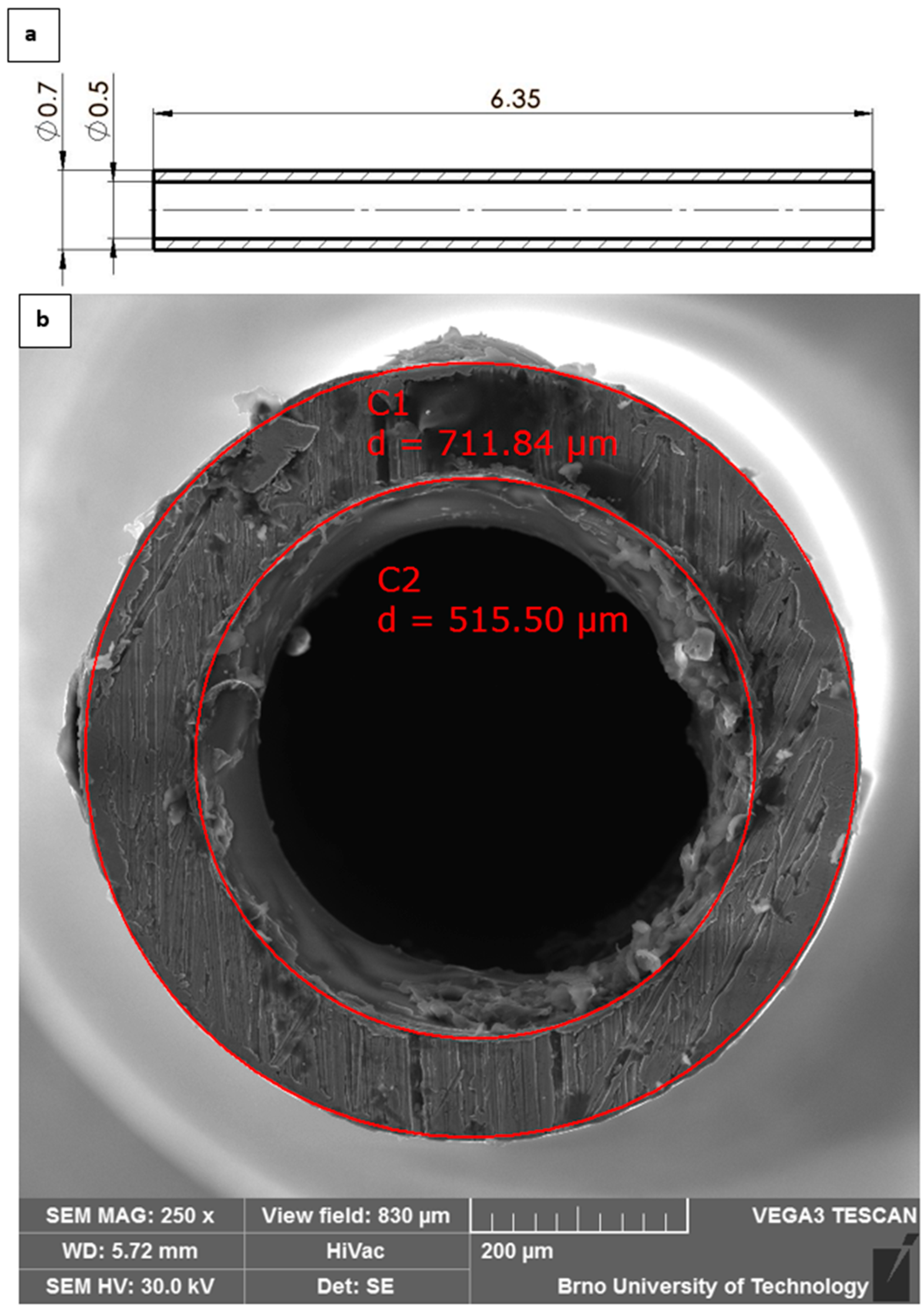 Sensors 25 06291 g004