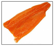 Sensors 25 06299 i002