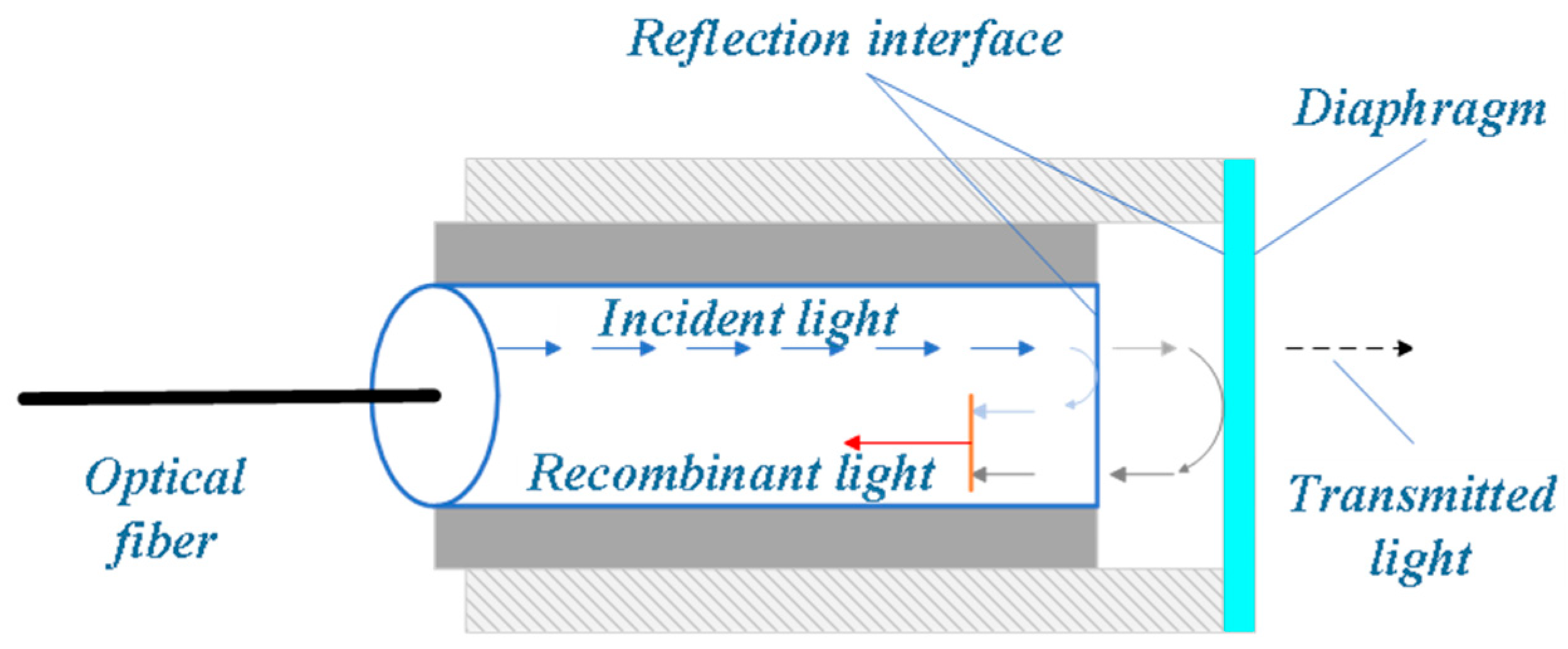 Sensors 25 06308 g007 Sensors 25 06308 g007