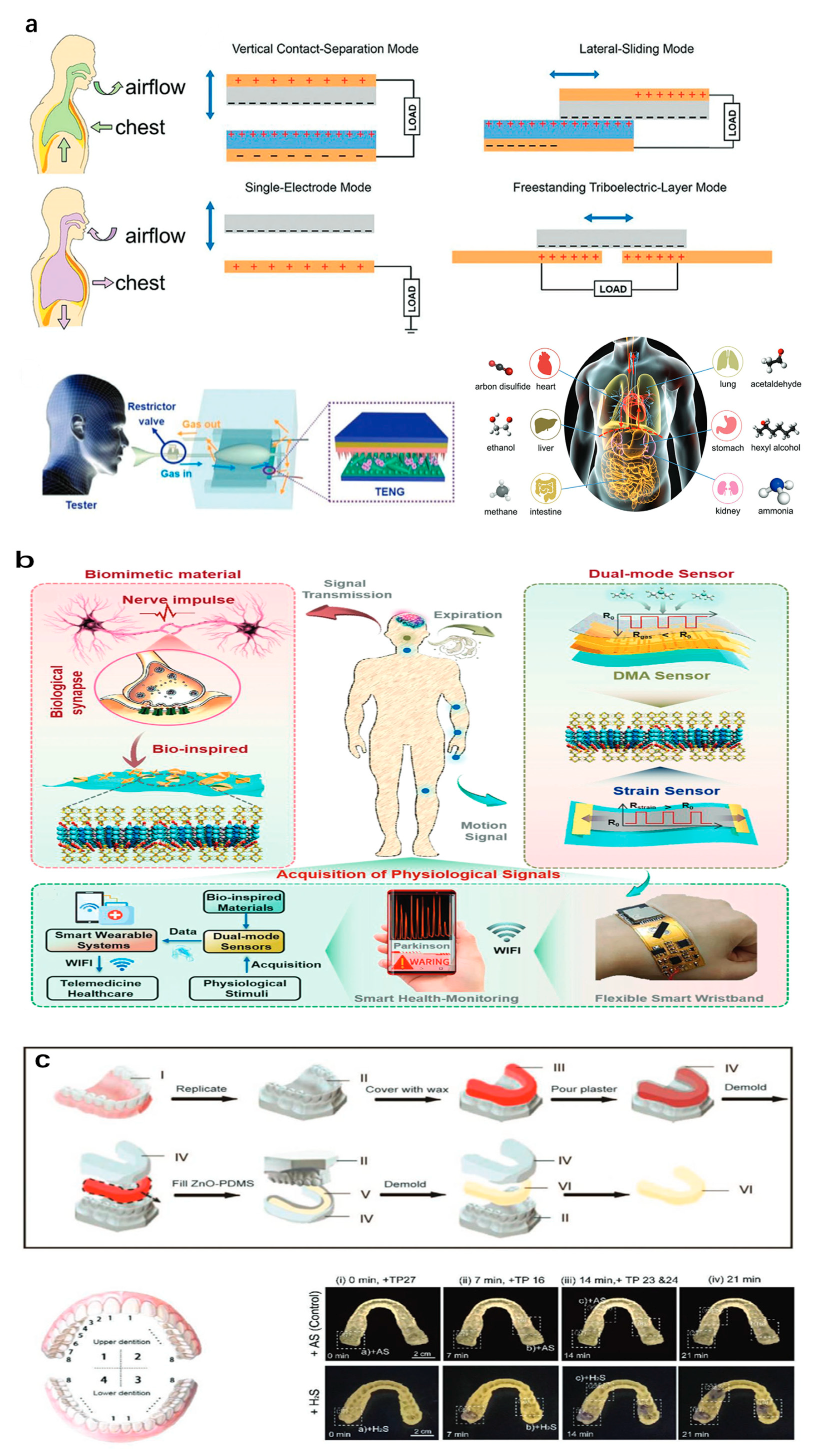 Sensors 25 06321 g004a
