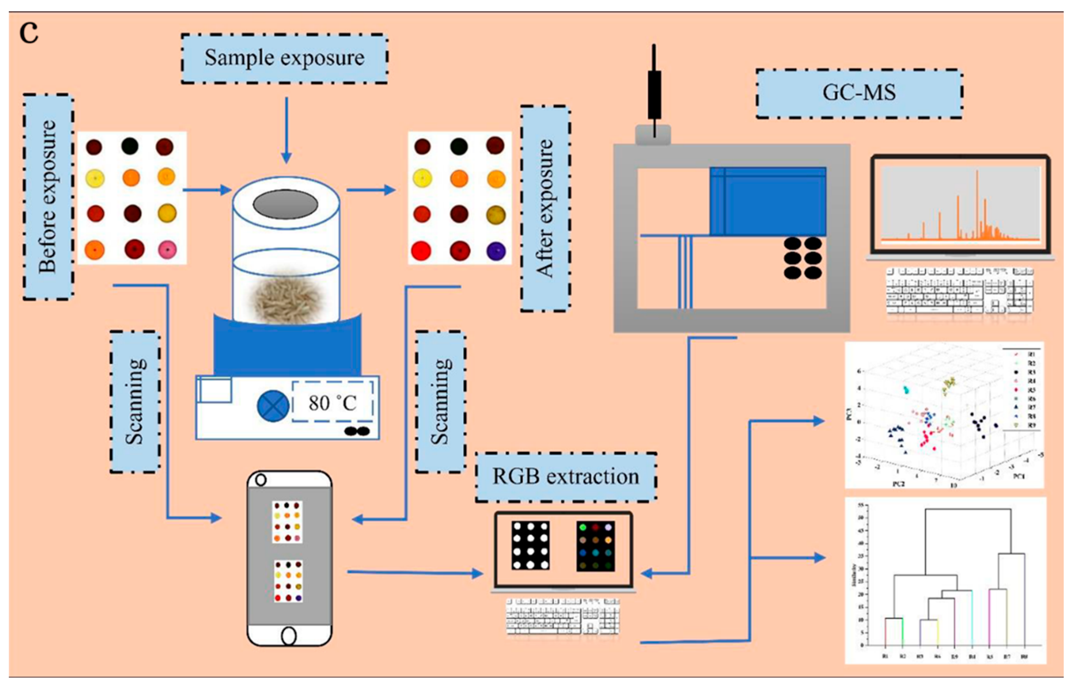Sensors 25 06321 g005b