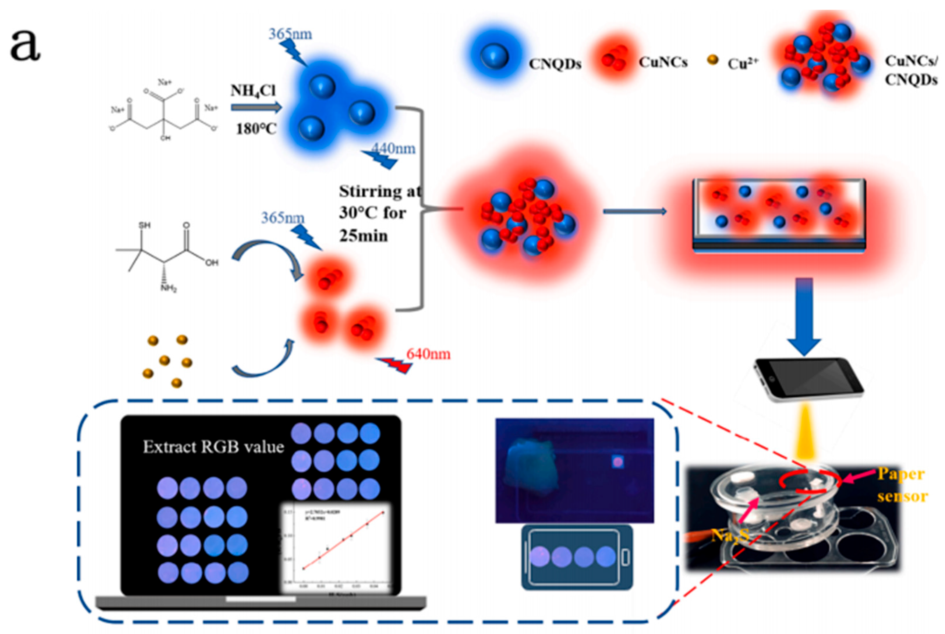Sensors 25 06321 g006a