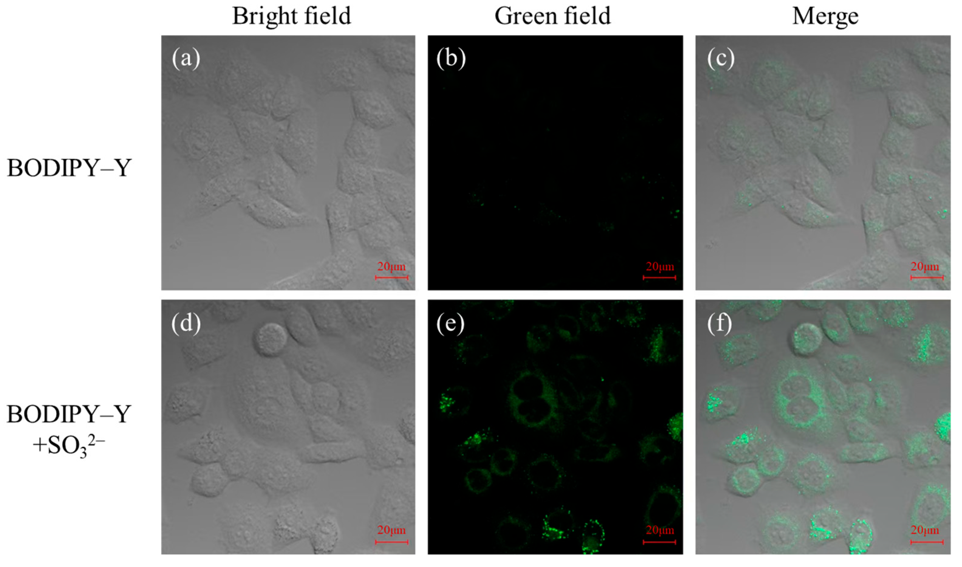 Sensors 25 06332 g007