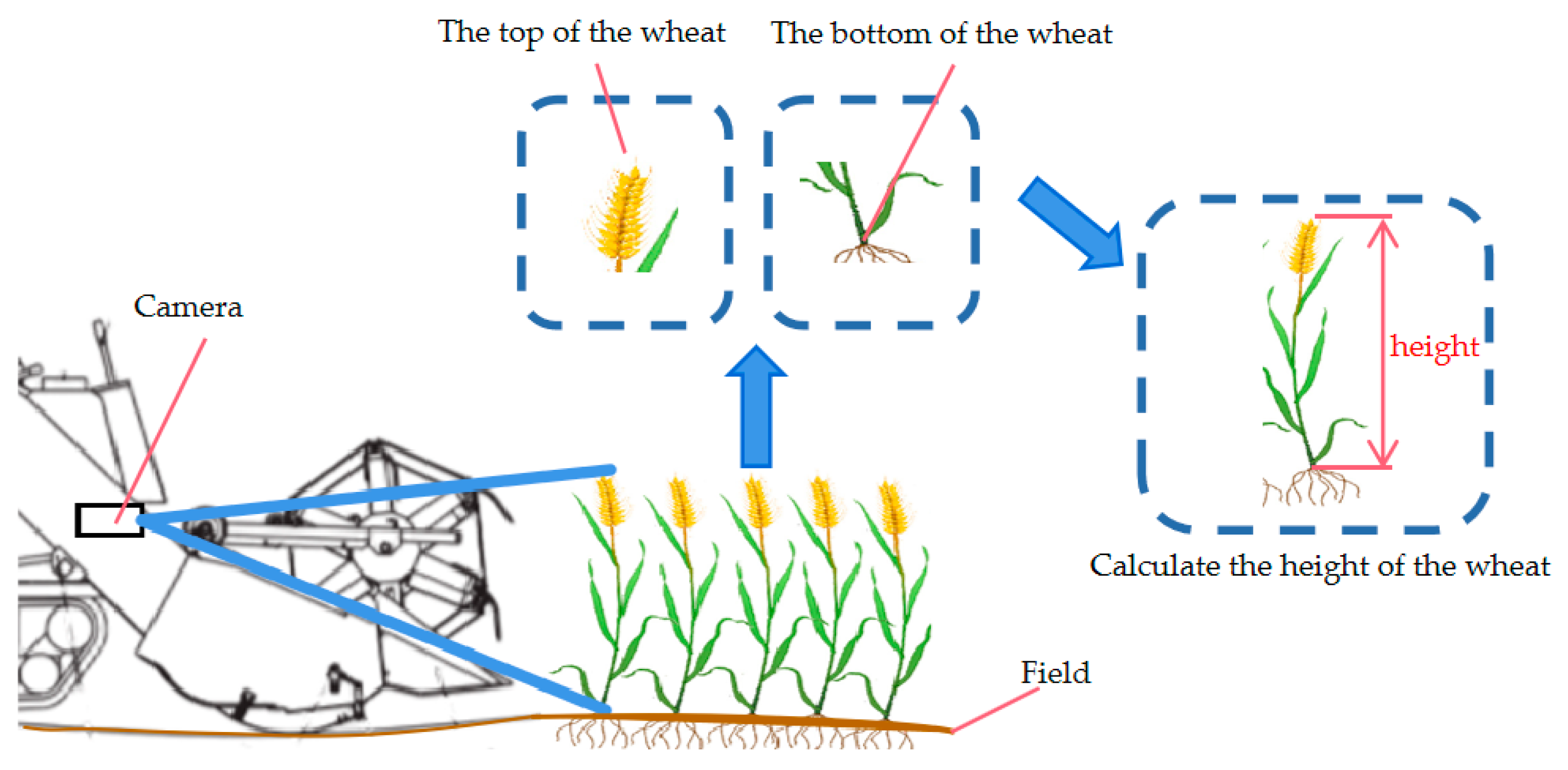 Sensors 25 06367 g004 Sensors 25 06367 g004