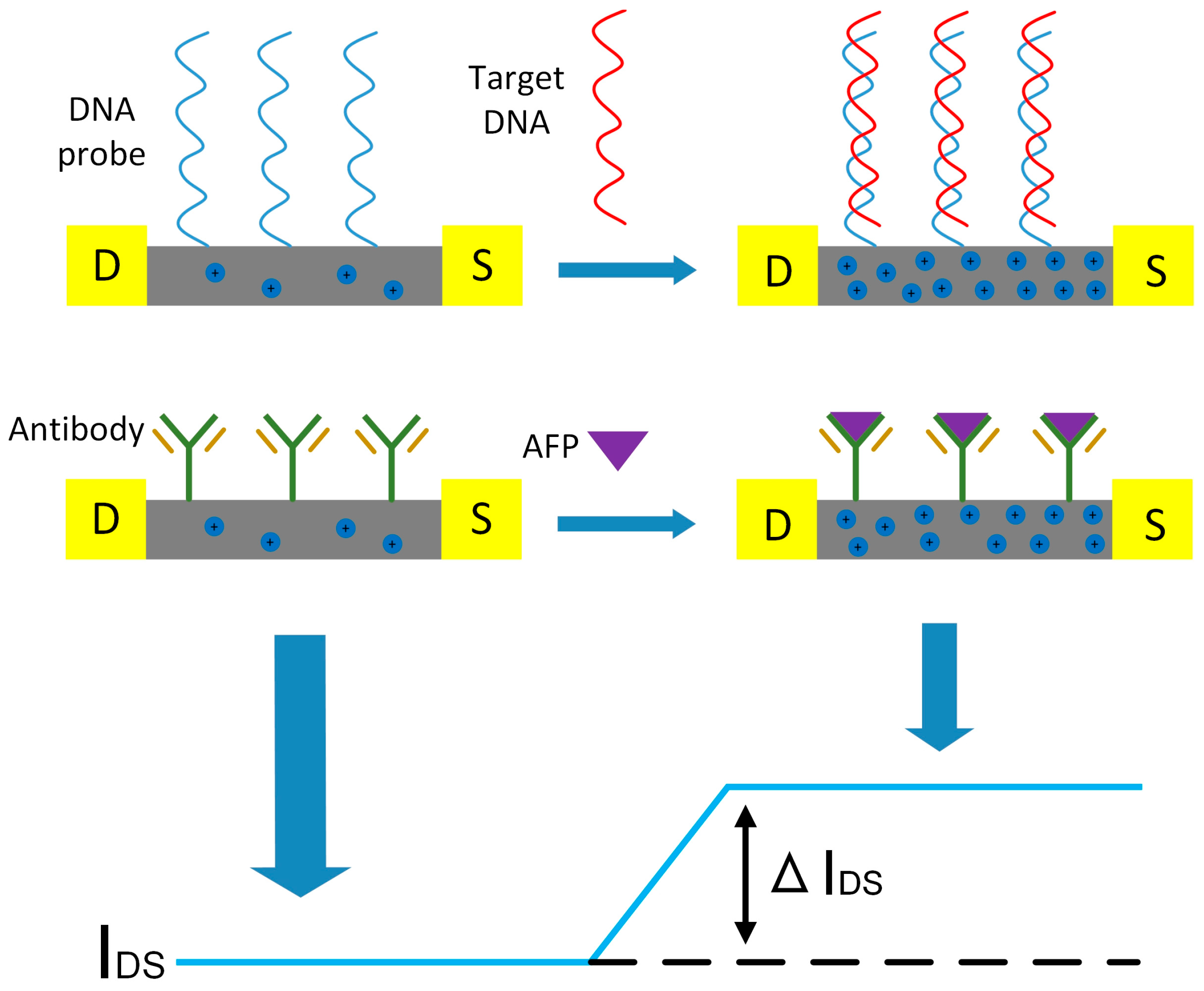 Sensors 25 06385 g005