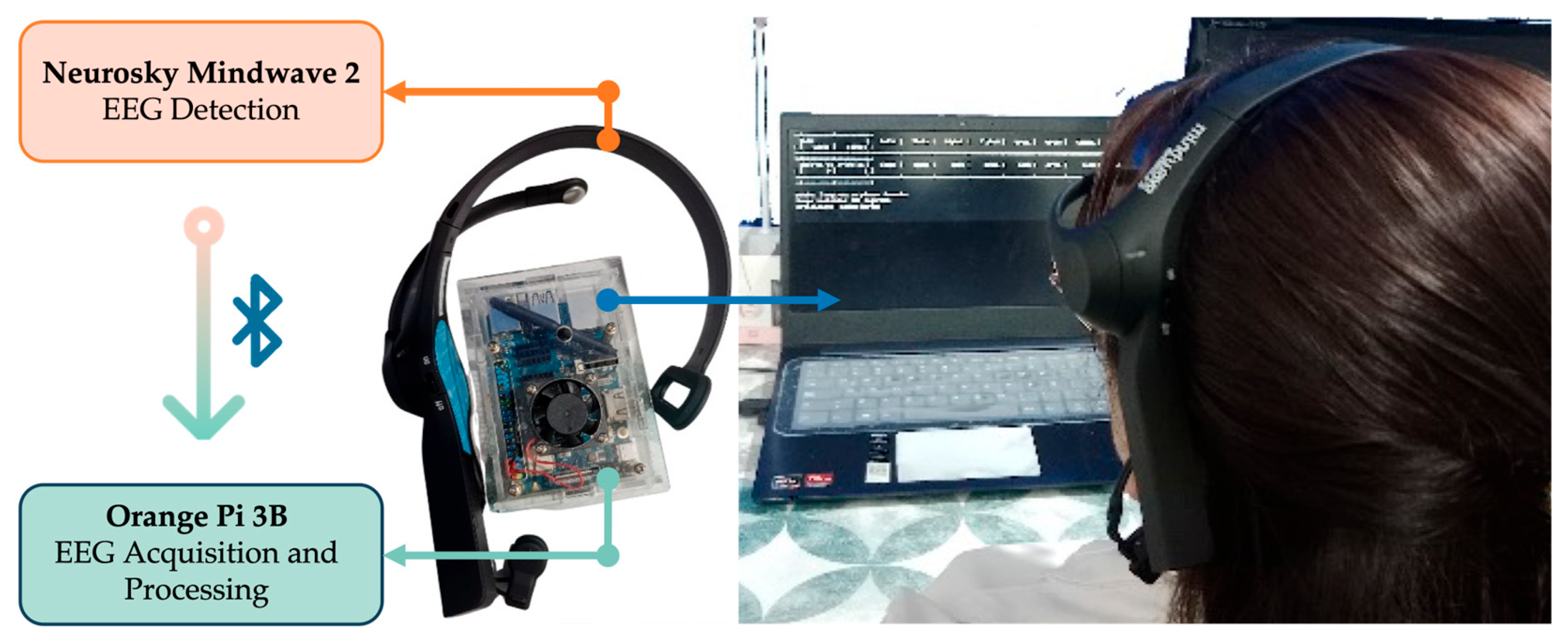 Sensors 25 06387 g001