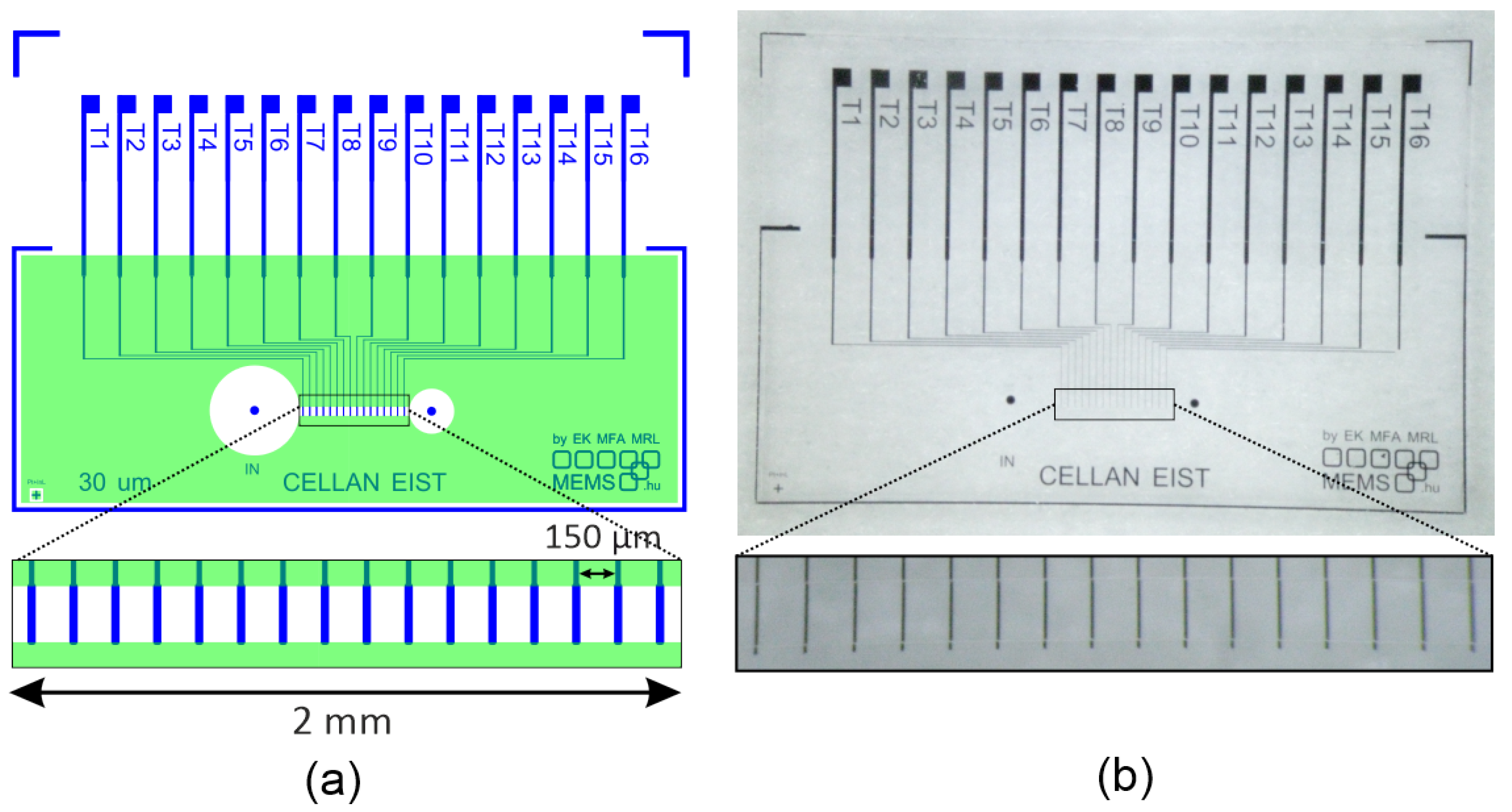 Sensors 25 06393 g002