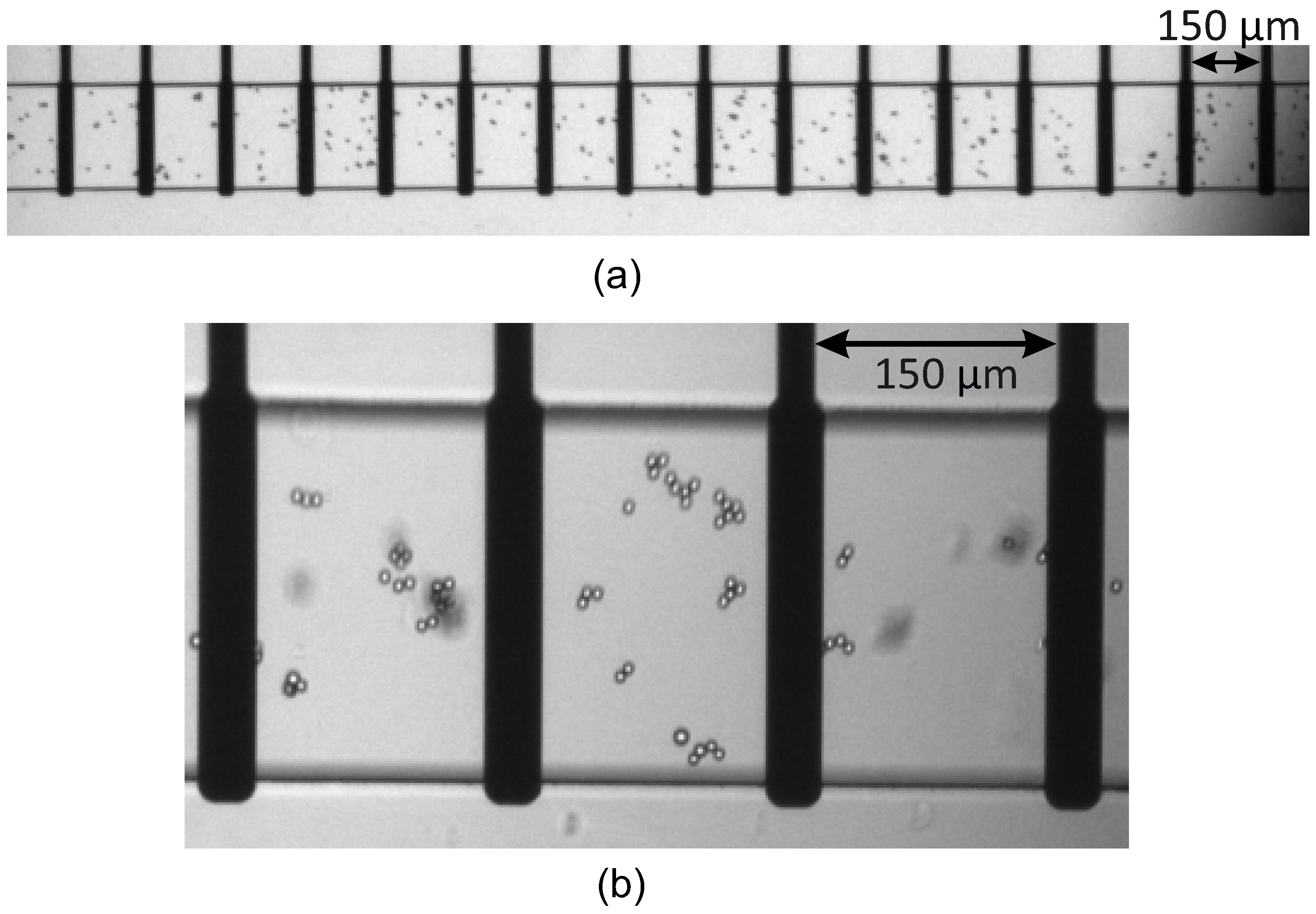 Sensors 25 06393 g004
