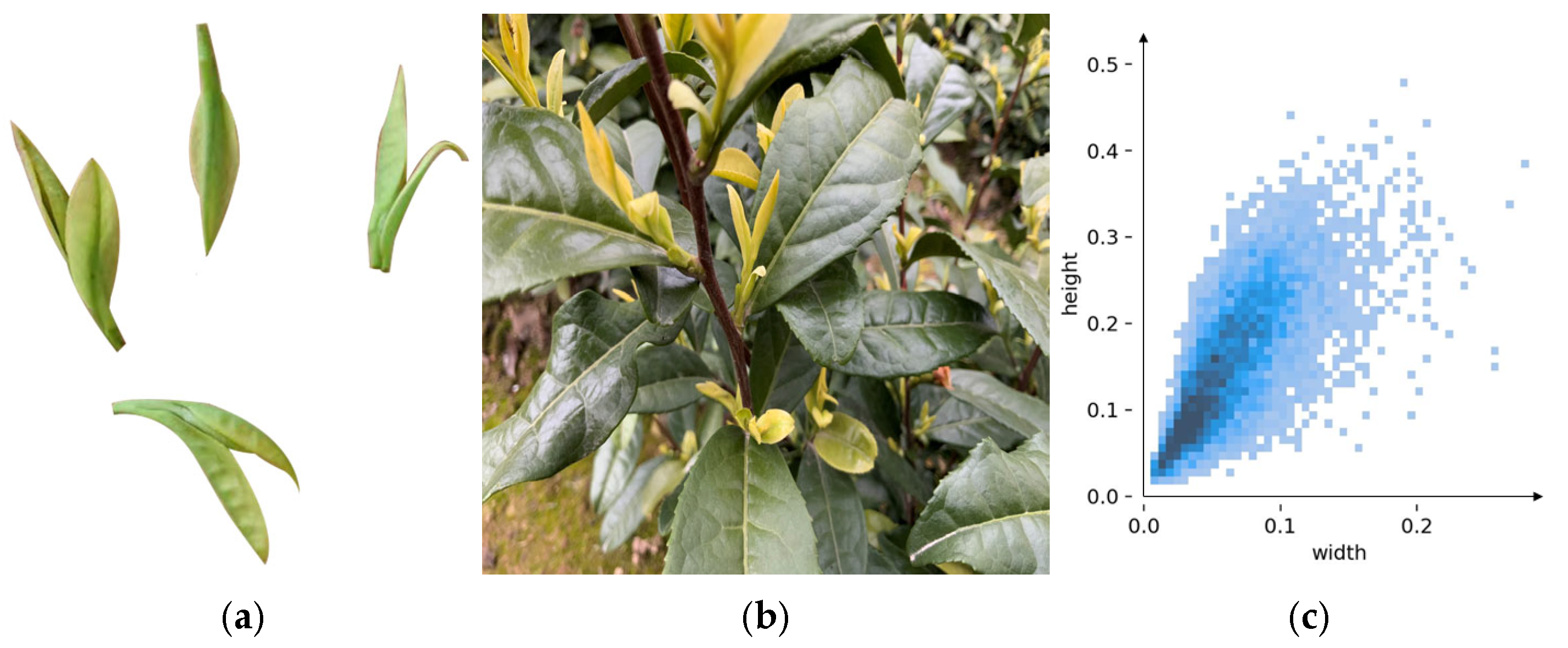 Sensors 25 06400 g001
