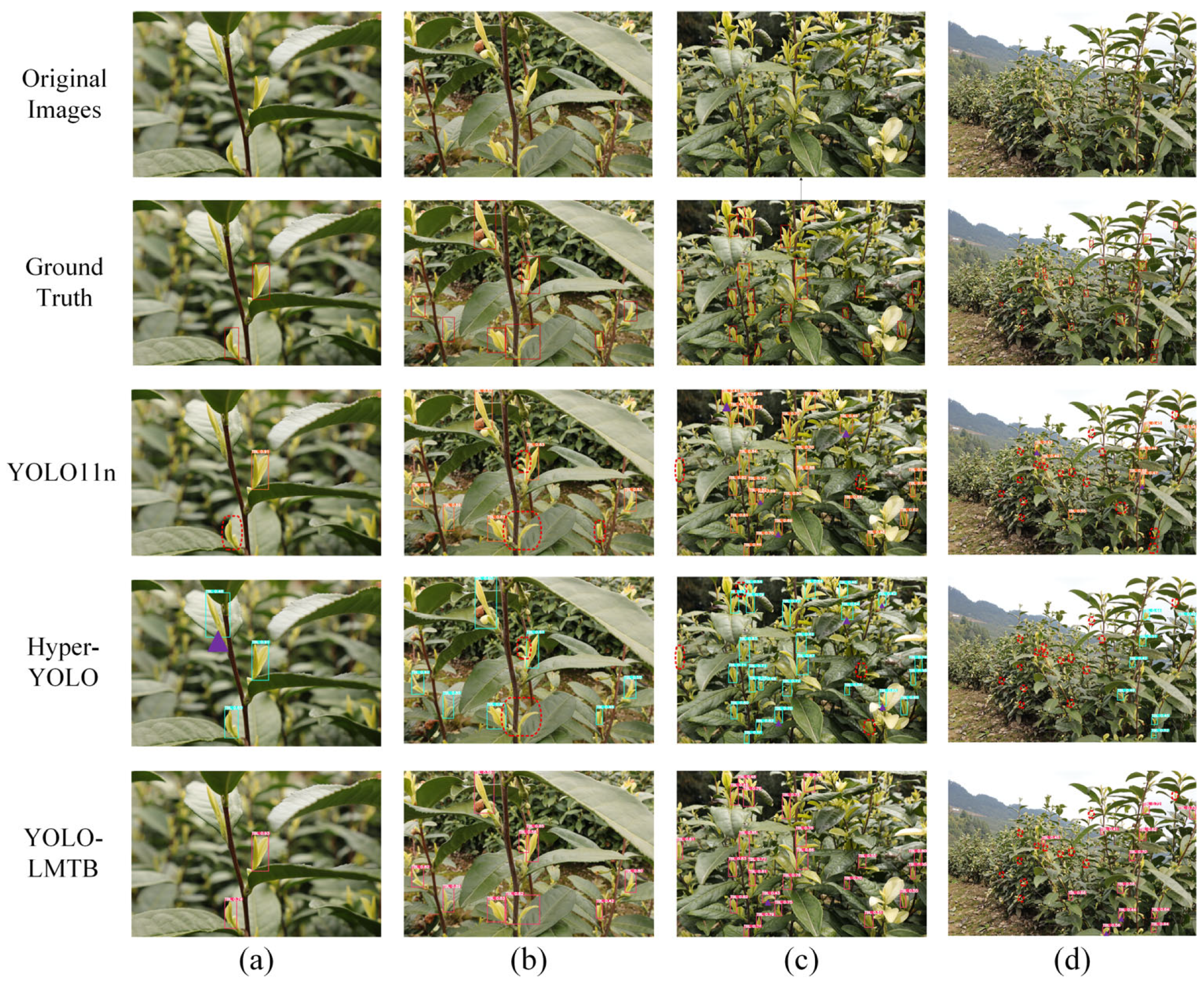 Sensors 25 06400 g006